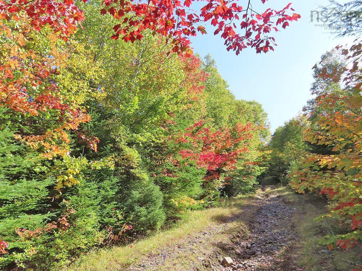 $159,000.00: 128.5 Acres West Side Road, West Side Country Harbour