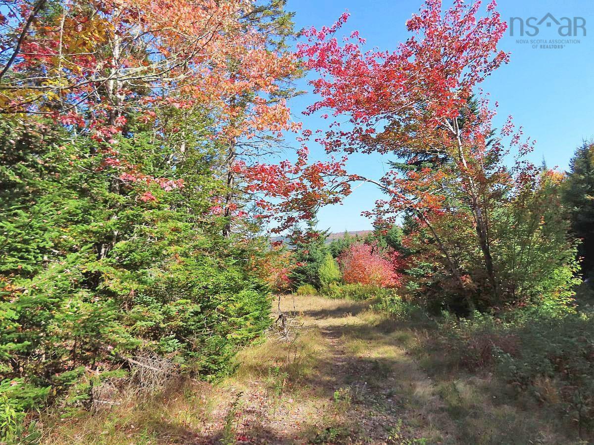 $159,000.00: 128.5 Acres West Side Road, West Side Country Harbour