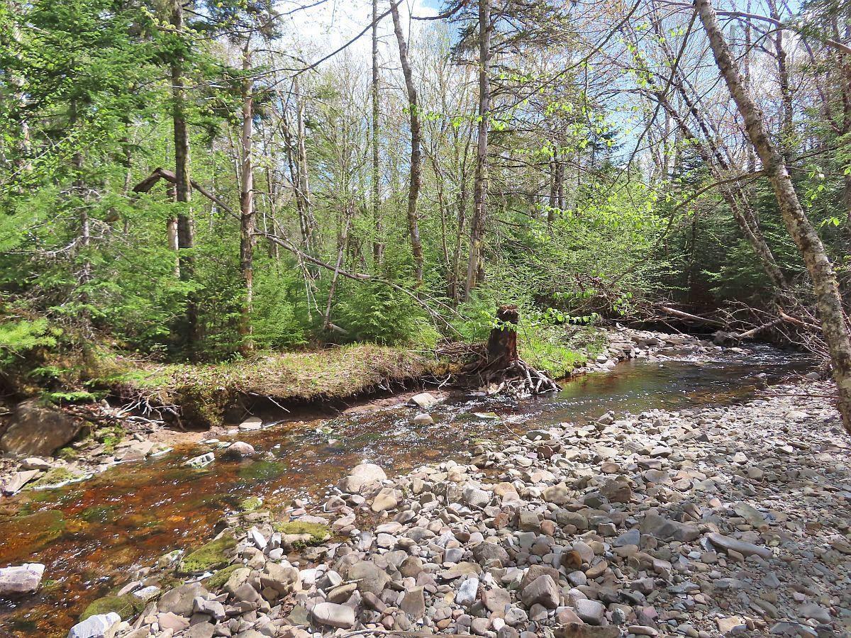 $159,000.00: 128.5 Acres West Side Road, West Side Country Harbour