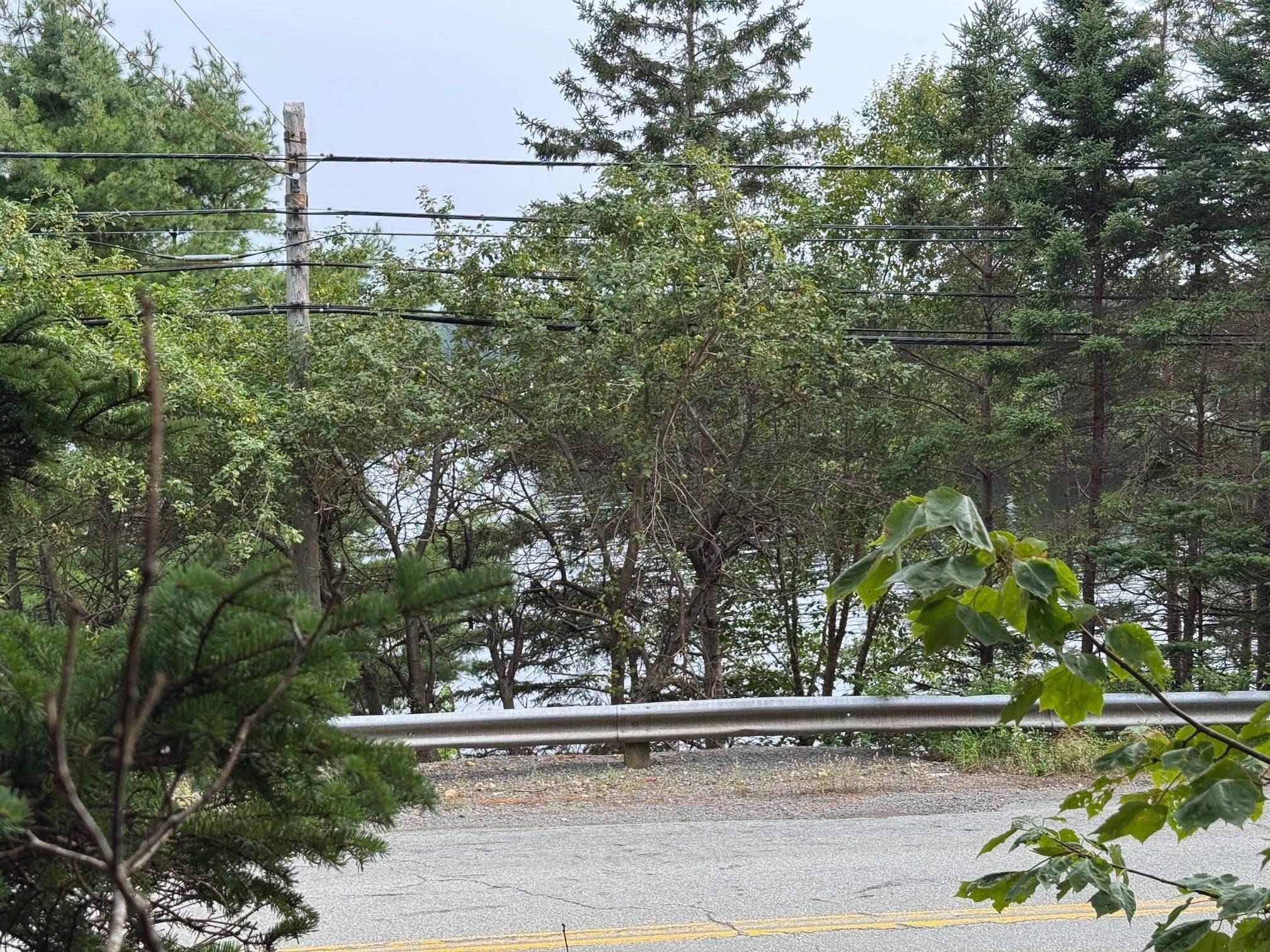 St Margarets Bay Road, St Margaret's Bay, NS (MLS 202608639)