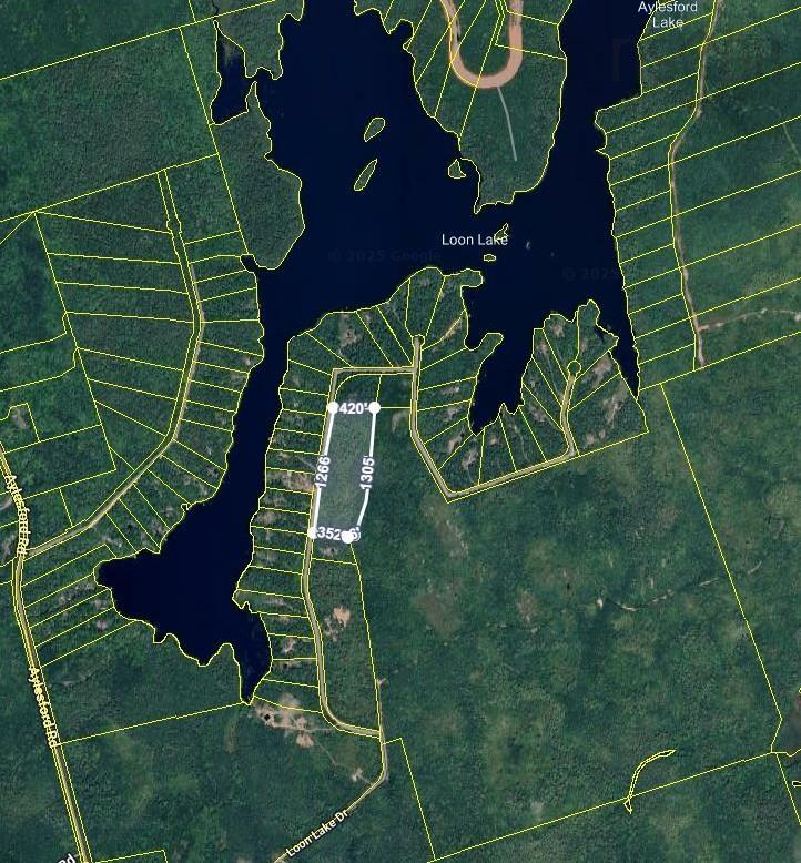 $99,000.00: Lot 2020-1 Loon Lake Drive, Lake Paul