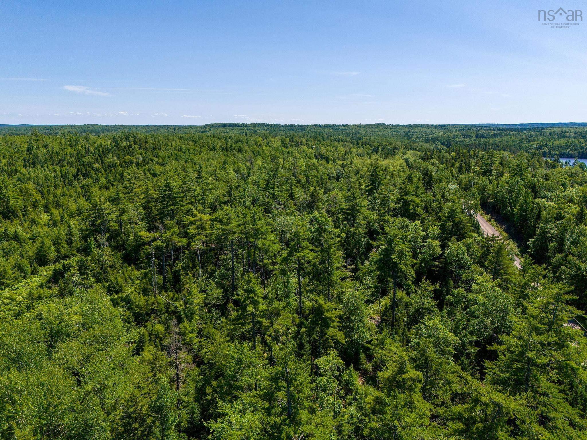 $99,000.00: Lot 2020-1 Loon Lake Drive, Lake Paul