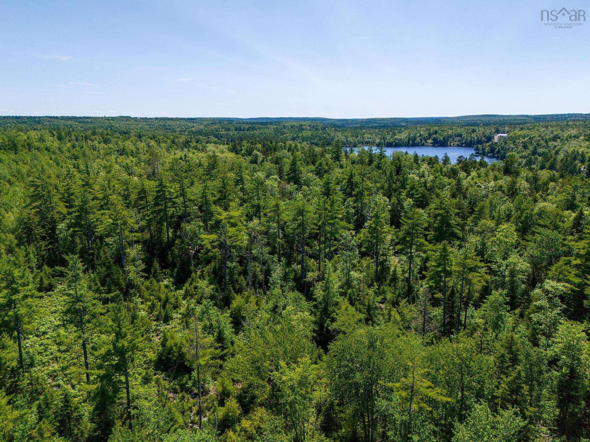 $99,000.00: Lot 2020-1 Loon Lake Drive, Lake Paul