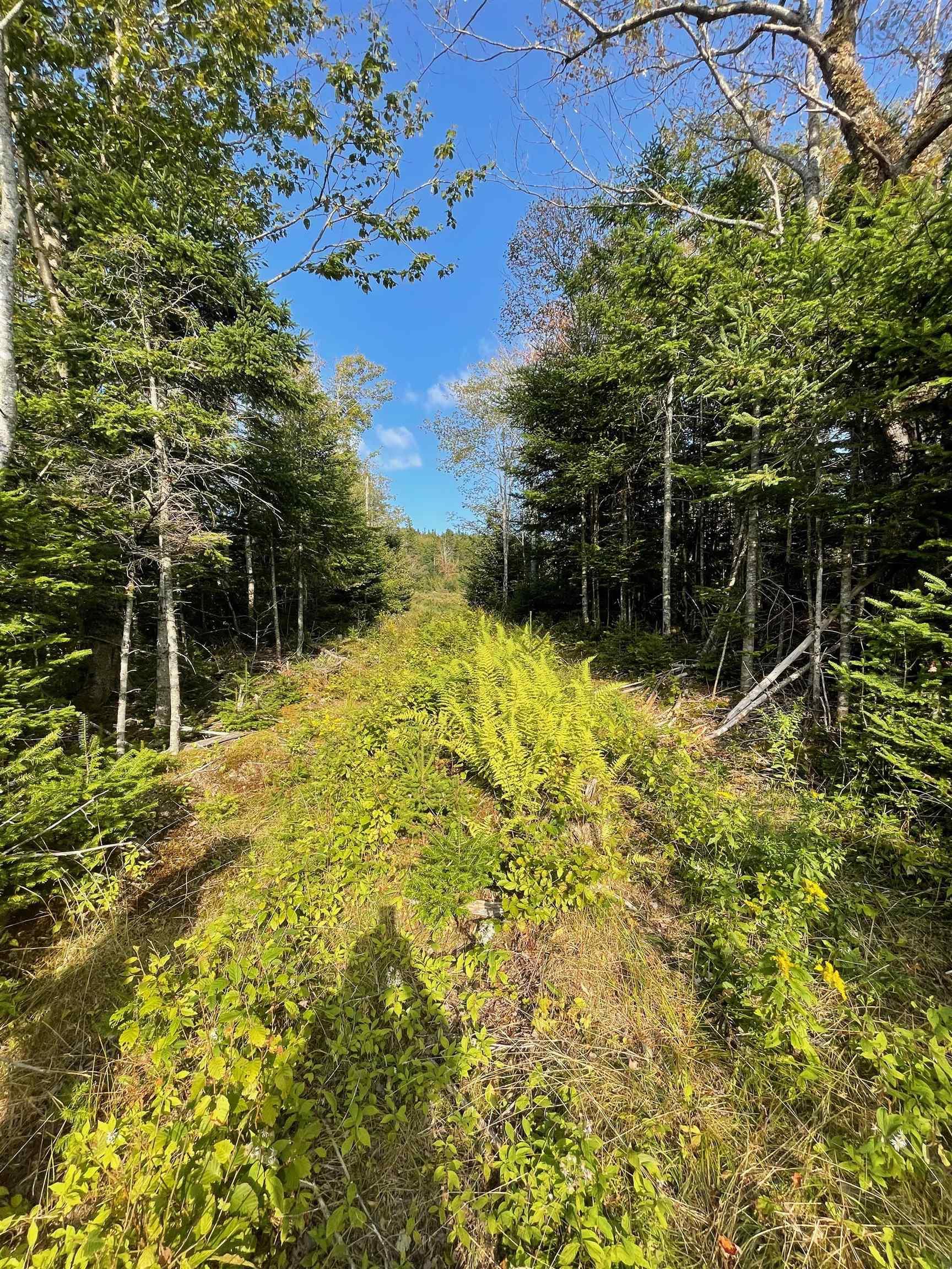 $124,900.00: Road 0 Beechmont Road, Gillis Lake