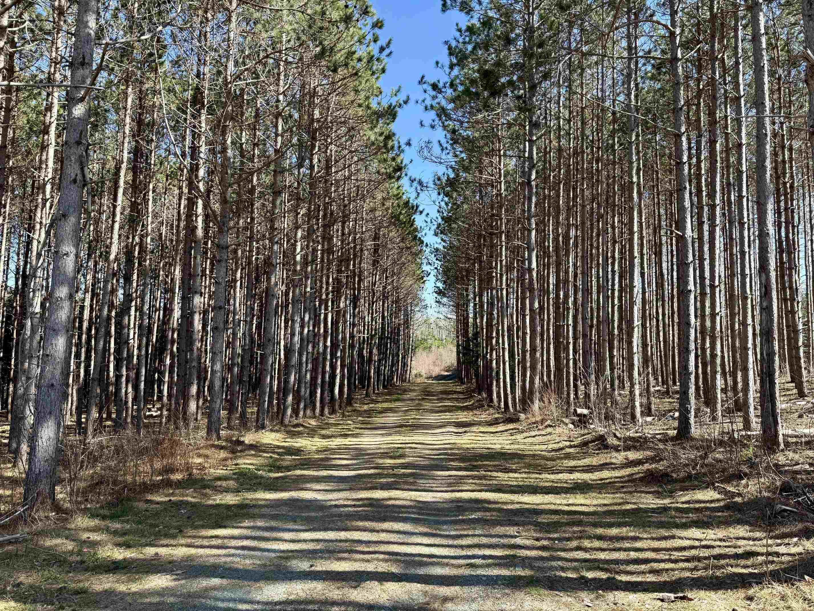 $99,000.00: Lot 24-3 Ridge Road, North Range