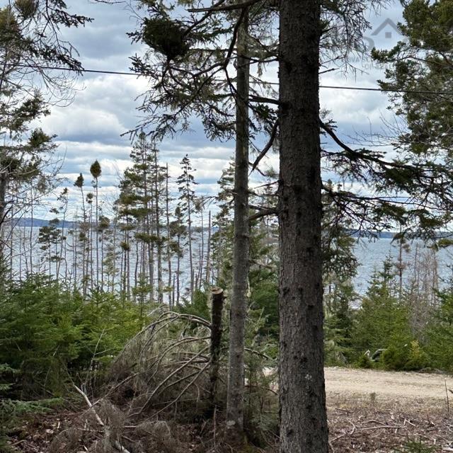 $299,000.00: Lot 8 Fire Cove Road, Feltzen South