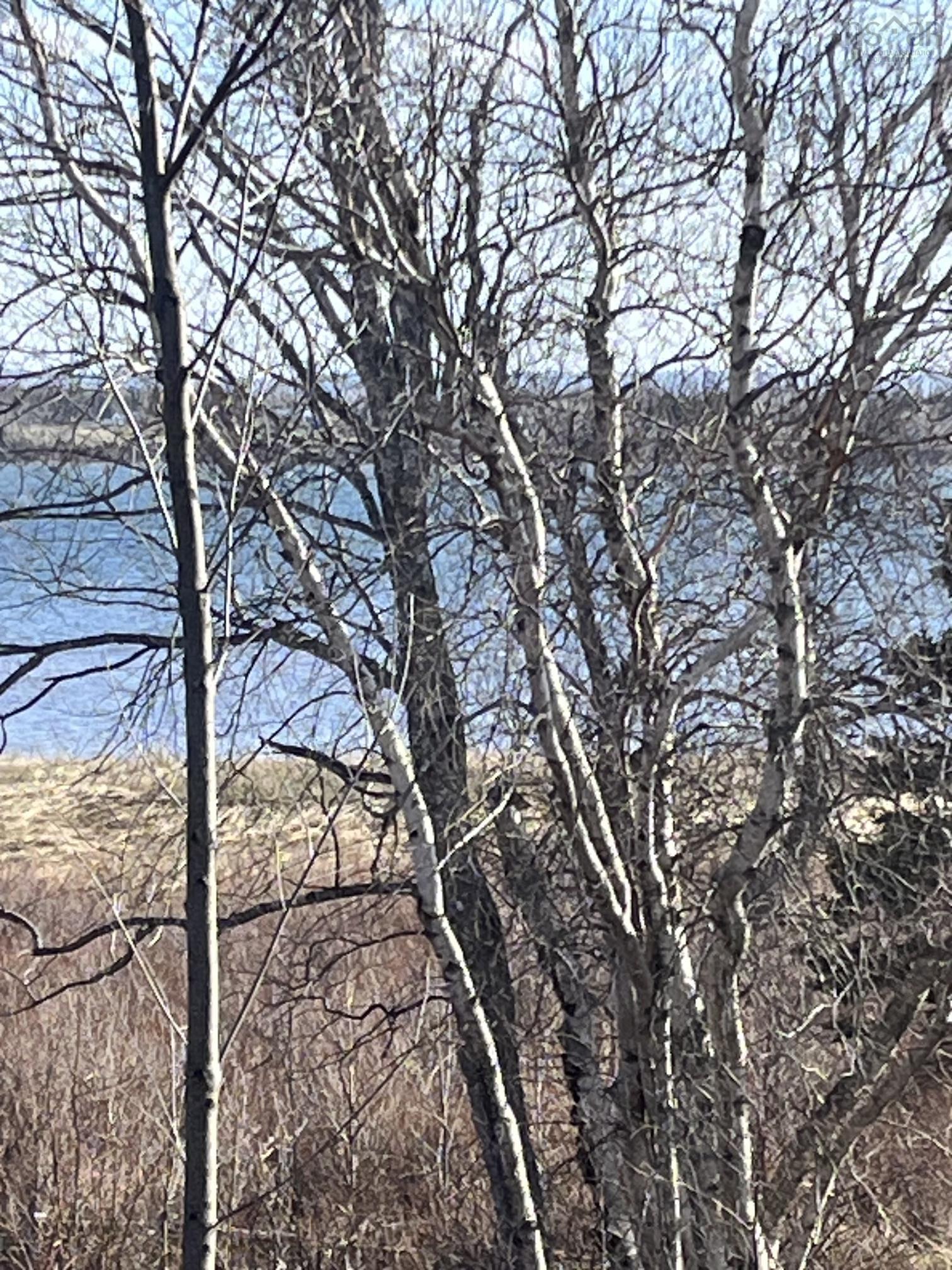 $99,900.00: Lot 8-9 Island Extension Road, Malagash