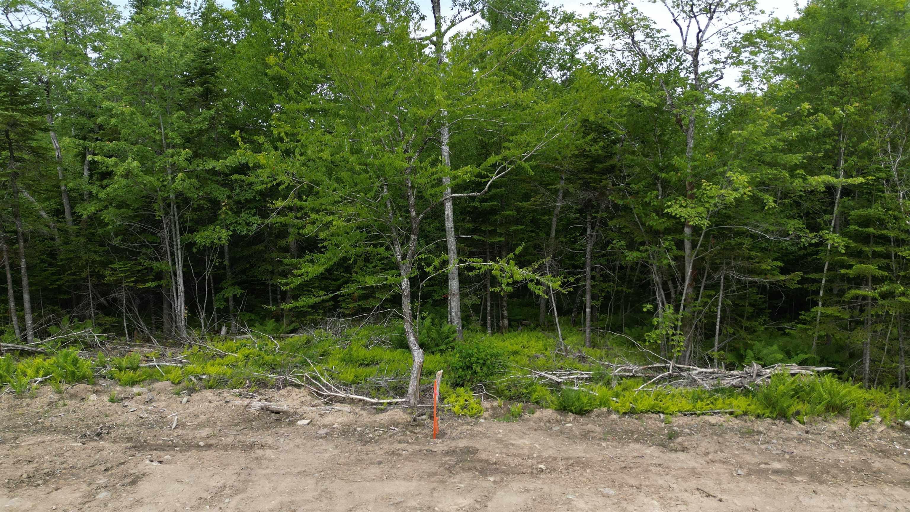 $78,000.00: Lot 15 Pearl Lane, Hillsvale