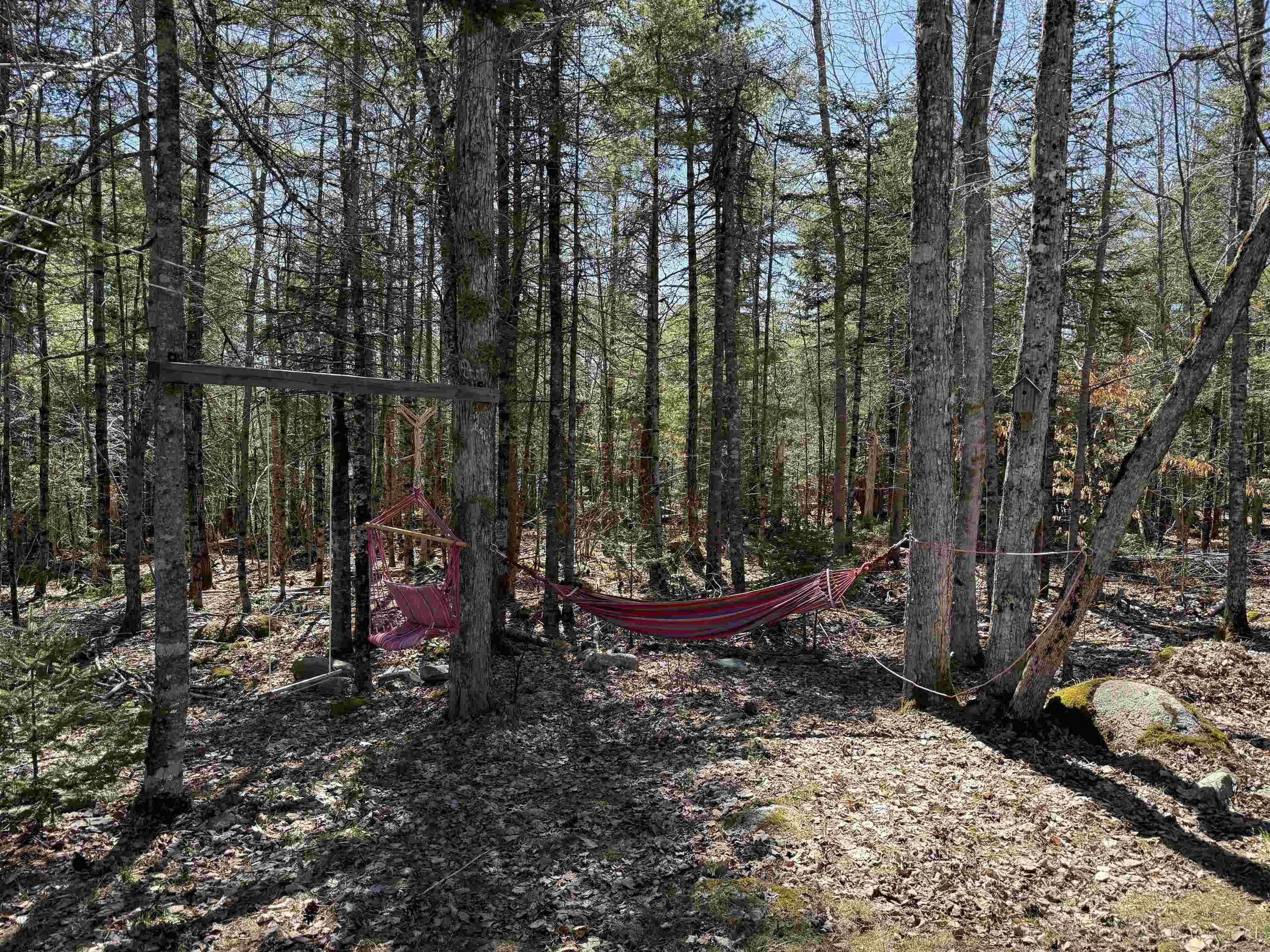 $379,000.00: 100 Red Hill Road, New Elm