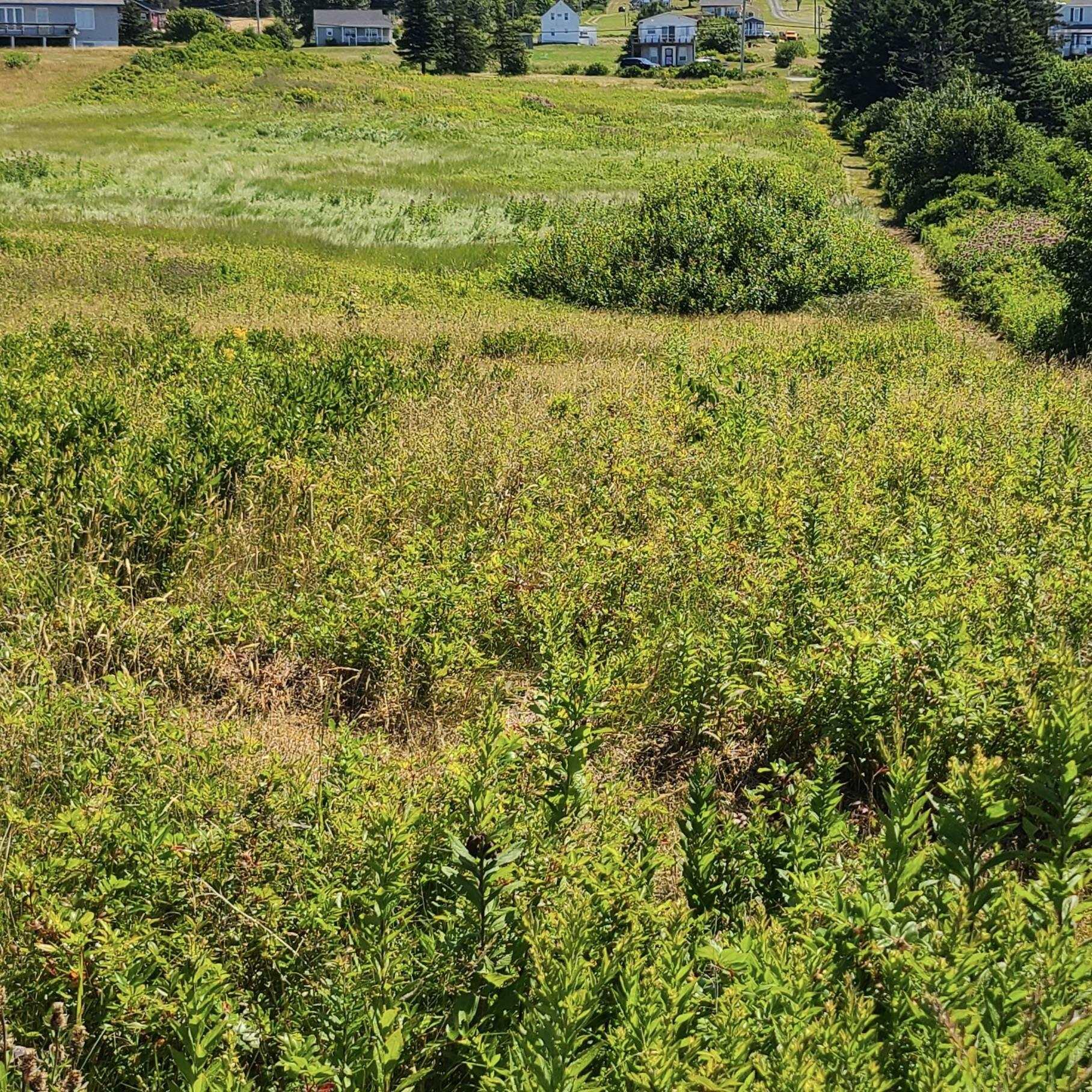 $165,000.00: 0 Cabot Trail Road, Belle Côte