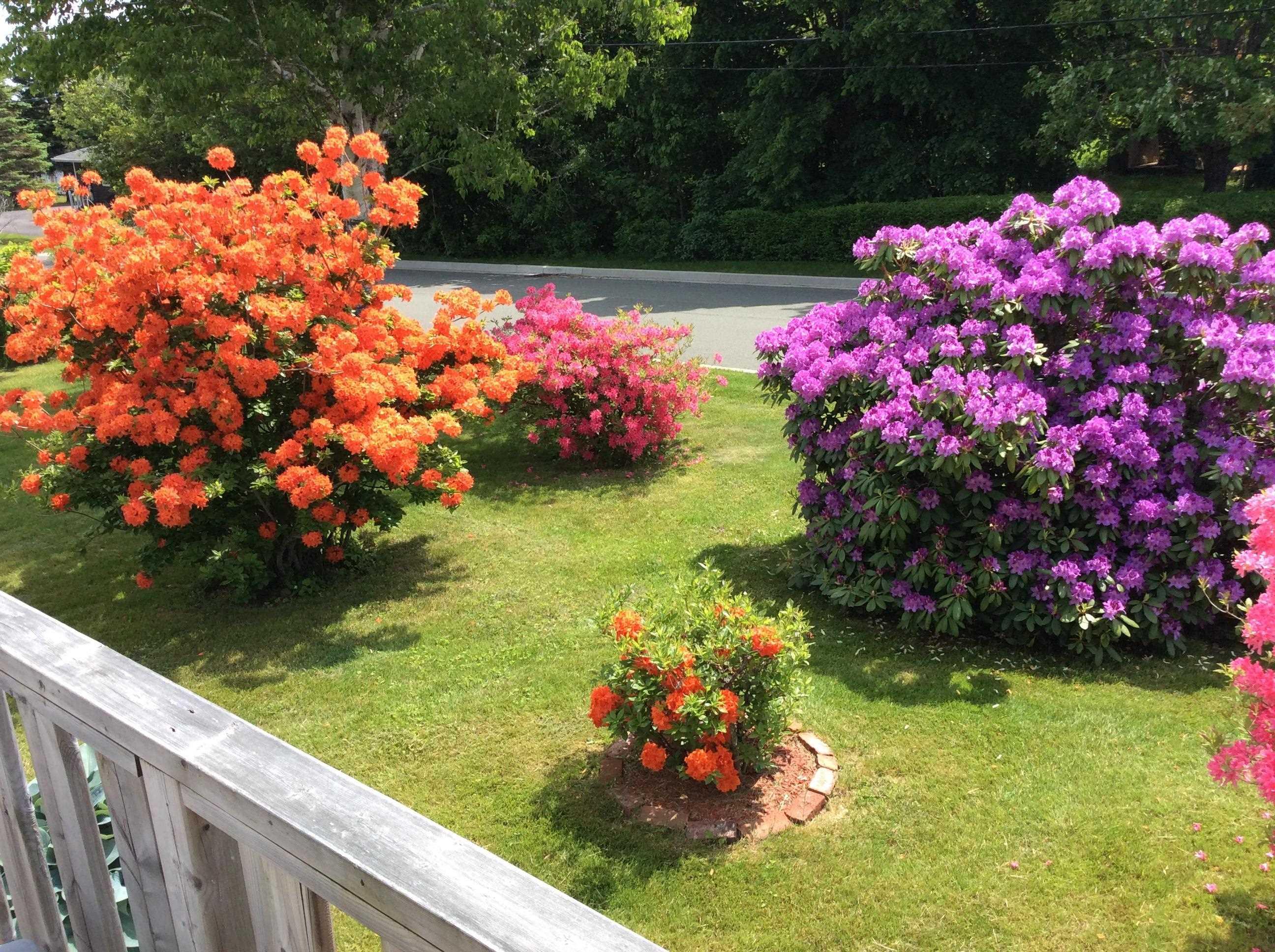 $325,000.00: 14 Edina Street, Glace Bay