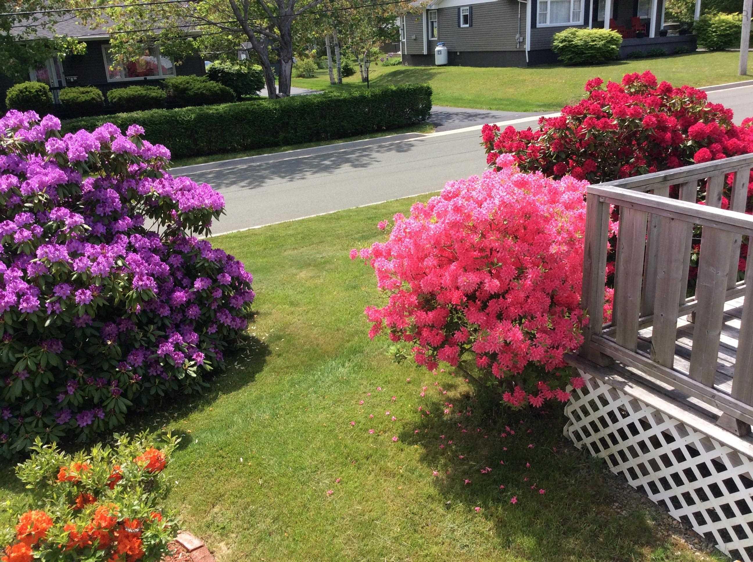 $325,000.00: 14 Edina Street, Glace Bay