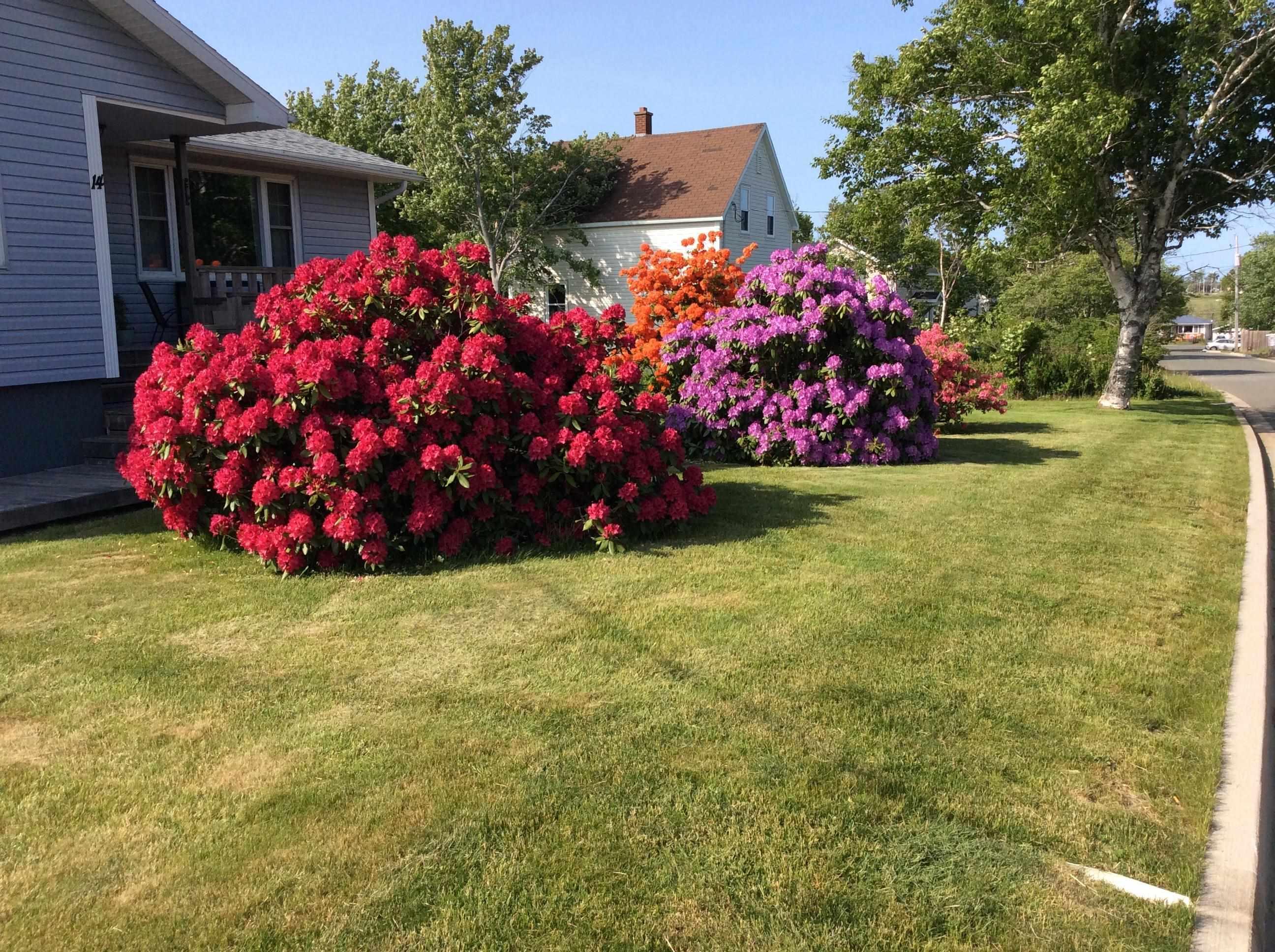 $325,000.00: 14 Edina Street, Glace Bay