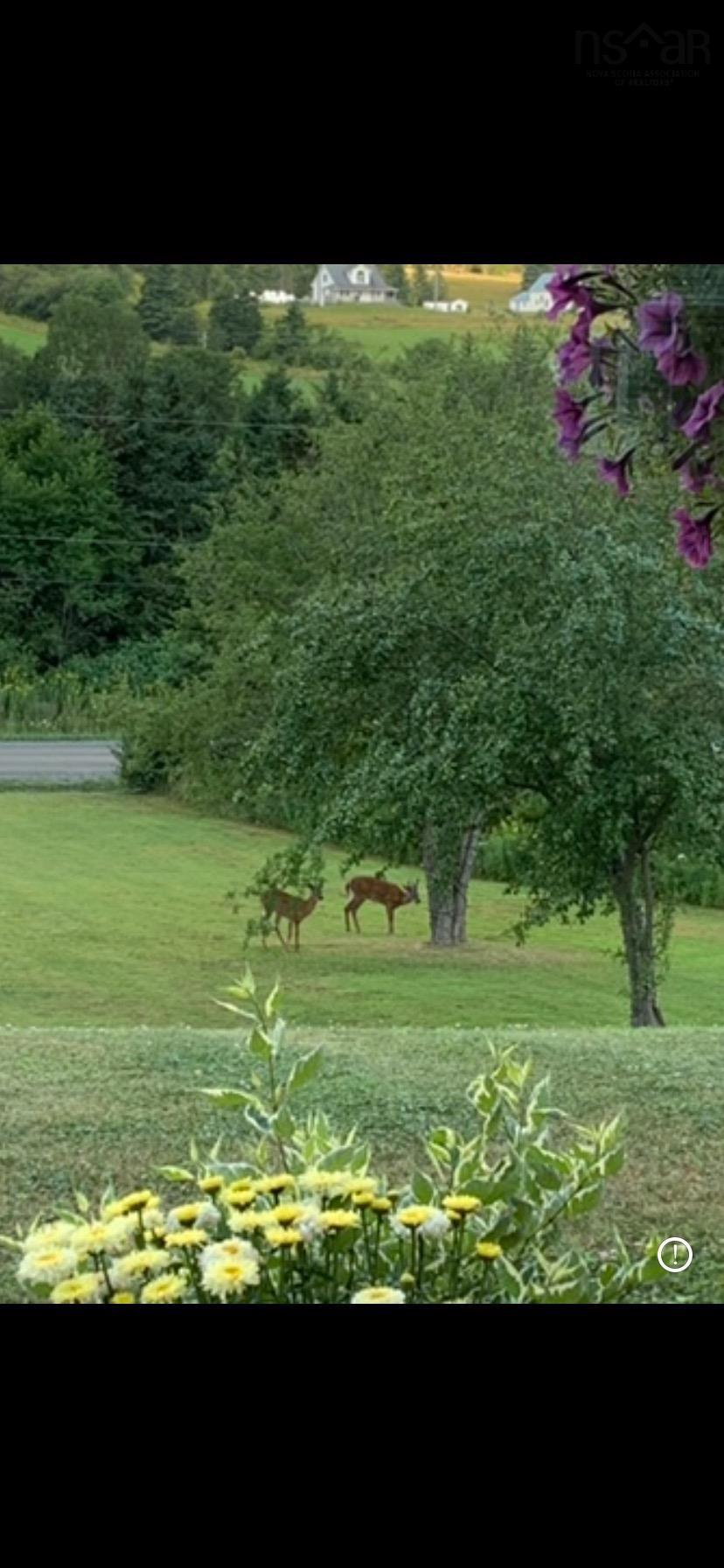 $455,500.00: 17 Birds Eye View Lane  B2G 2L1, Antigonish