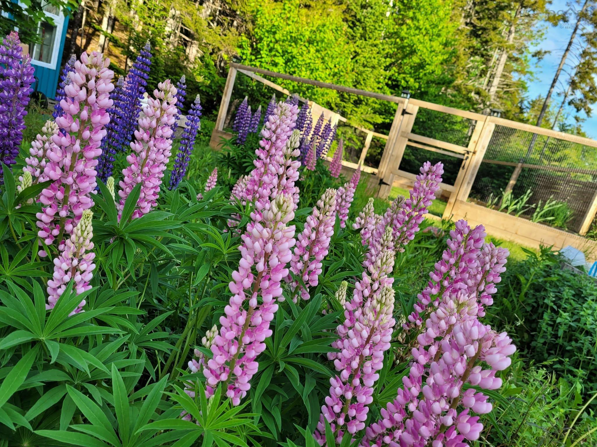 163 Lakeland Street, Beaver Bank, NS (MLS 202608788)