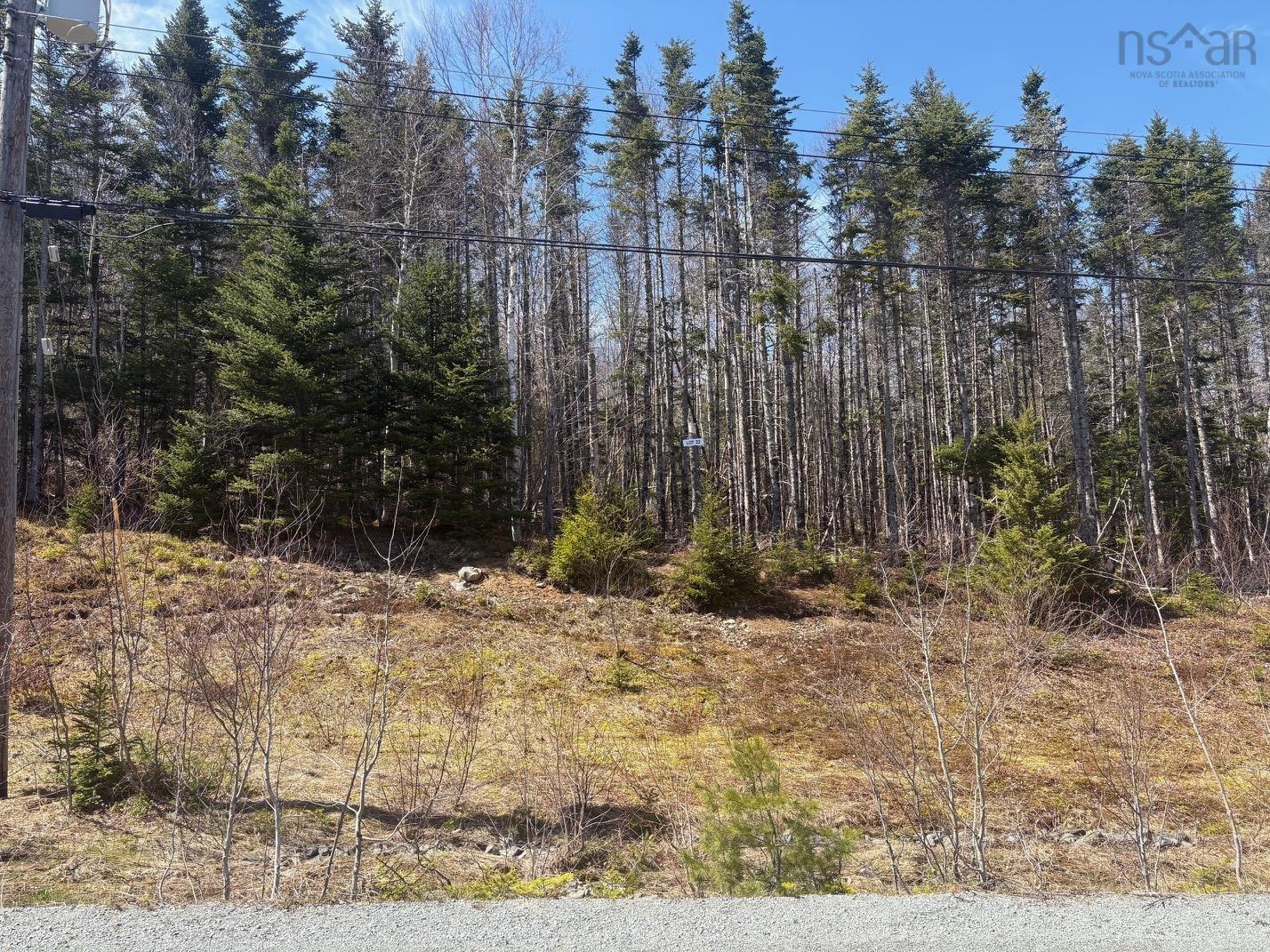 Lot 22 Jorphie Drive, Mount Uniacke, NS (MLS 202608801)