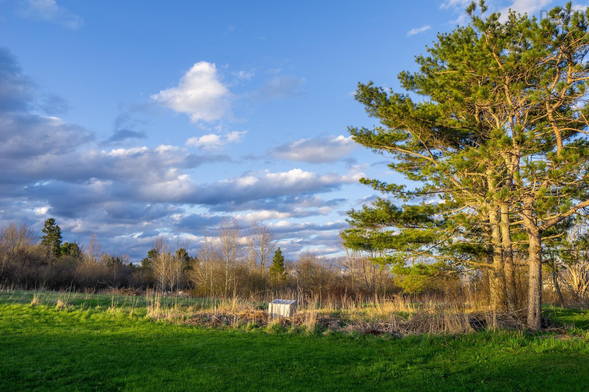$362,000.00: 2341 Highway 376 Road, Lyons Brook