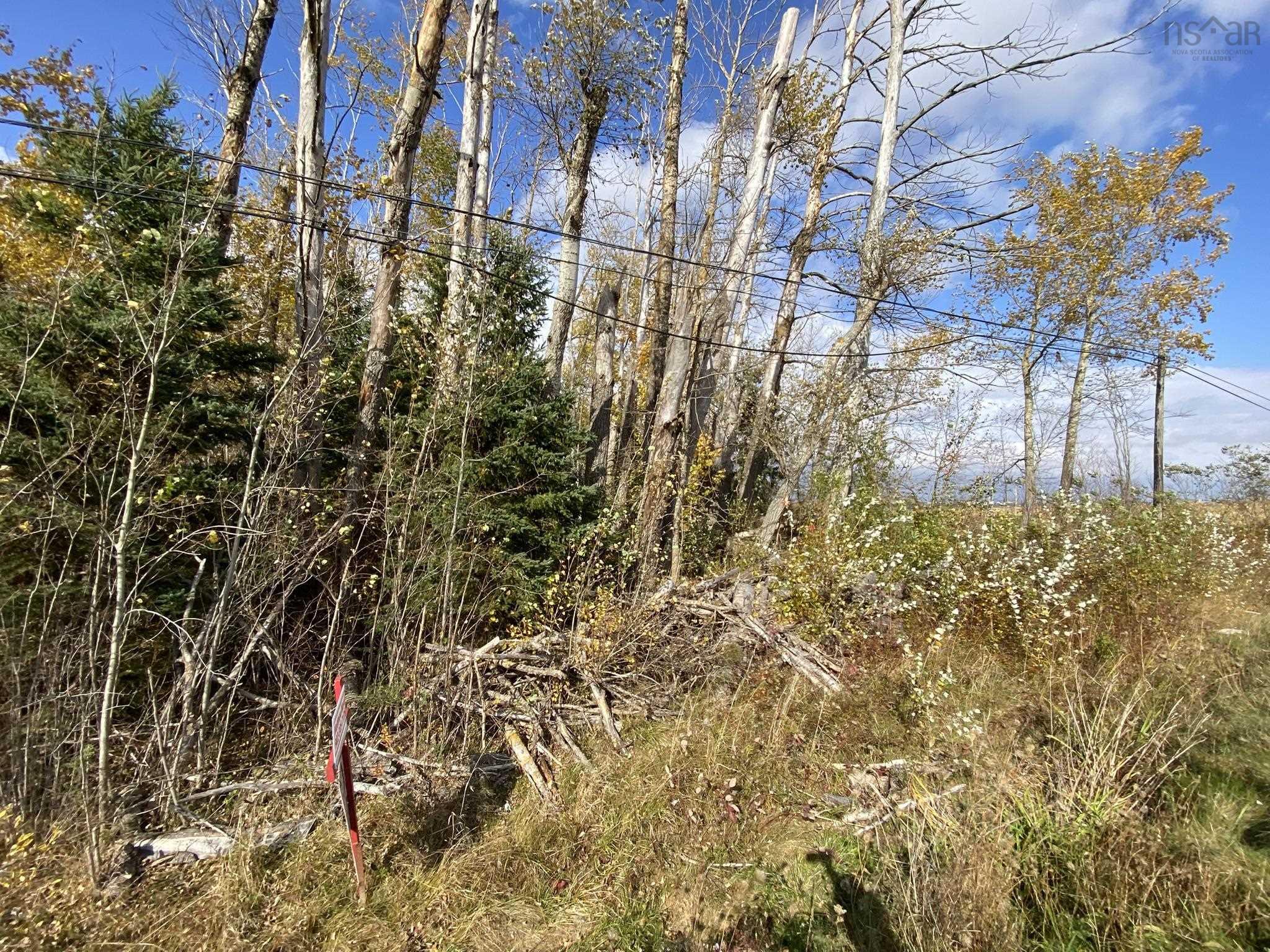 $50,000.00: Lot 3a Highway 215, Noel