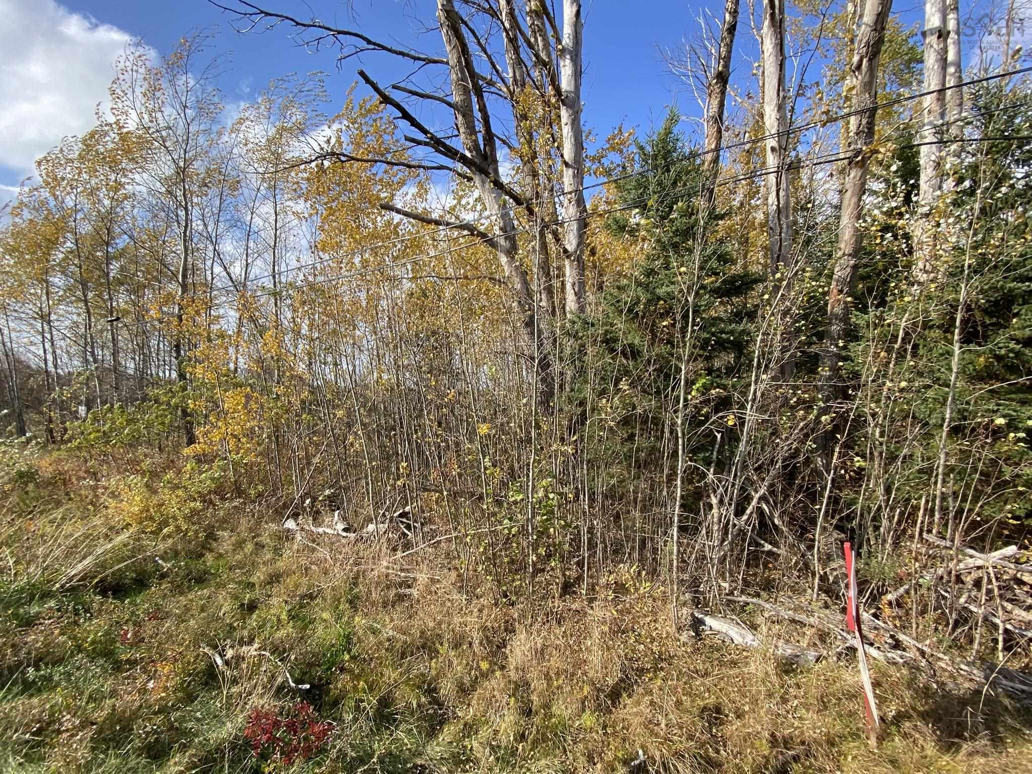 $50,000.00: Lot 3a Highway 215, Noel