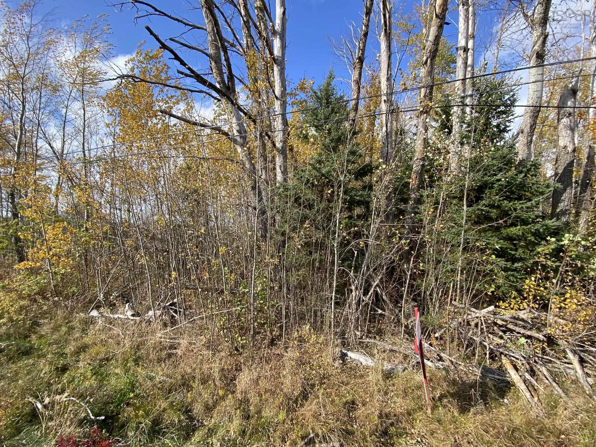 $50,000.00: Lot 3a Highway 215, Noel