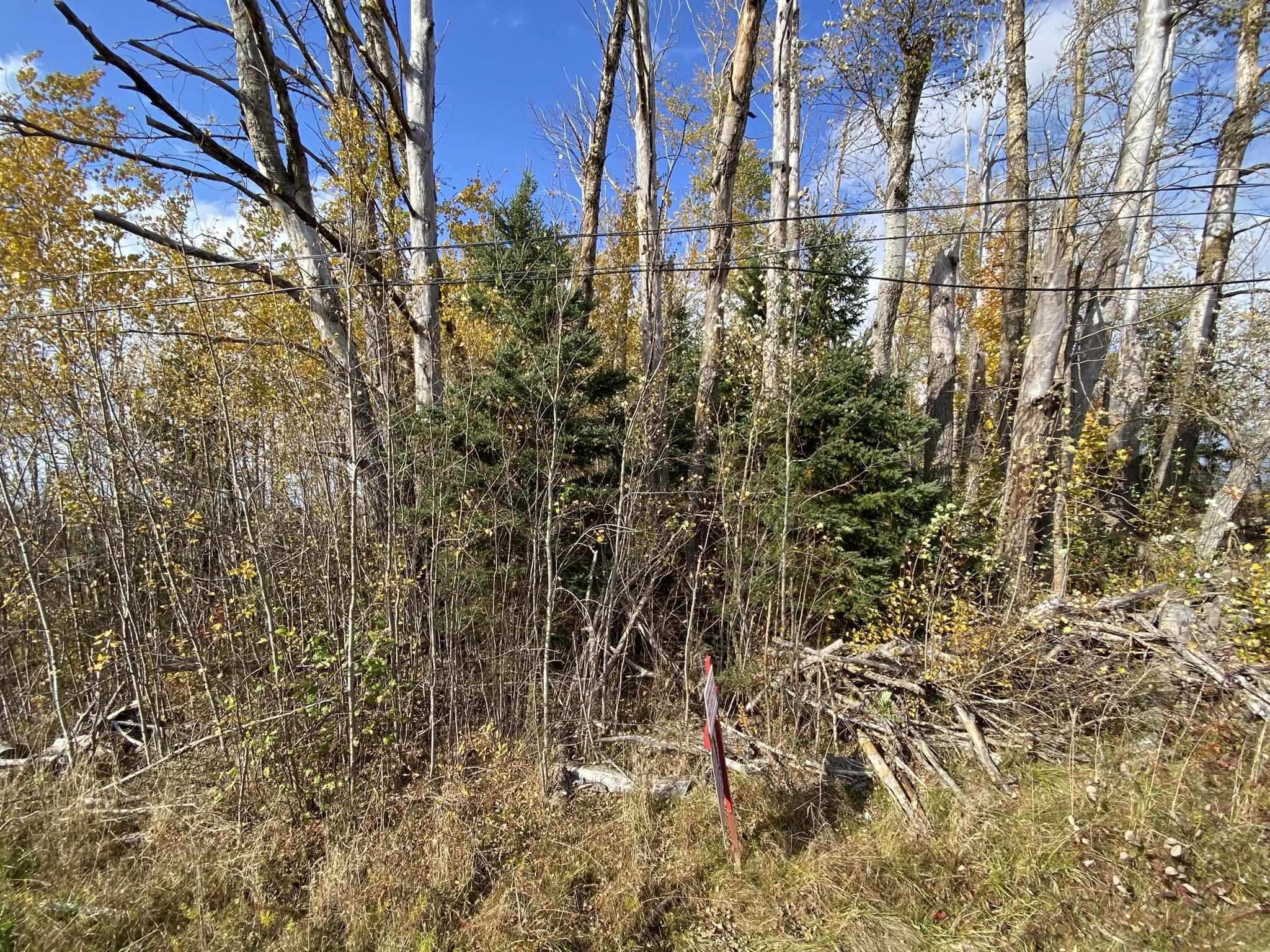 $50,000.00: Lot 3a Highway 215, Noel