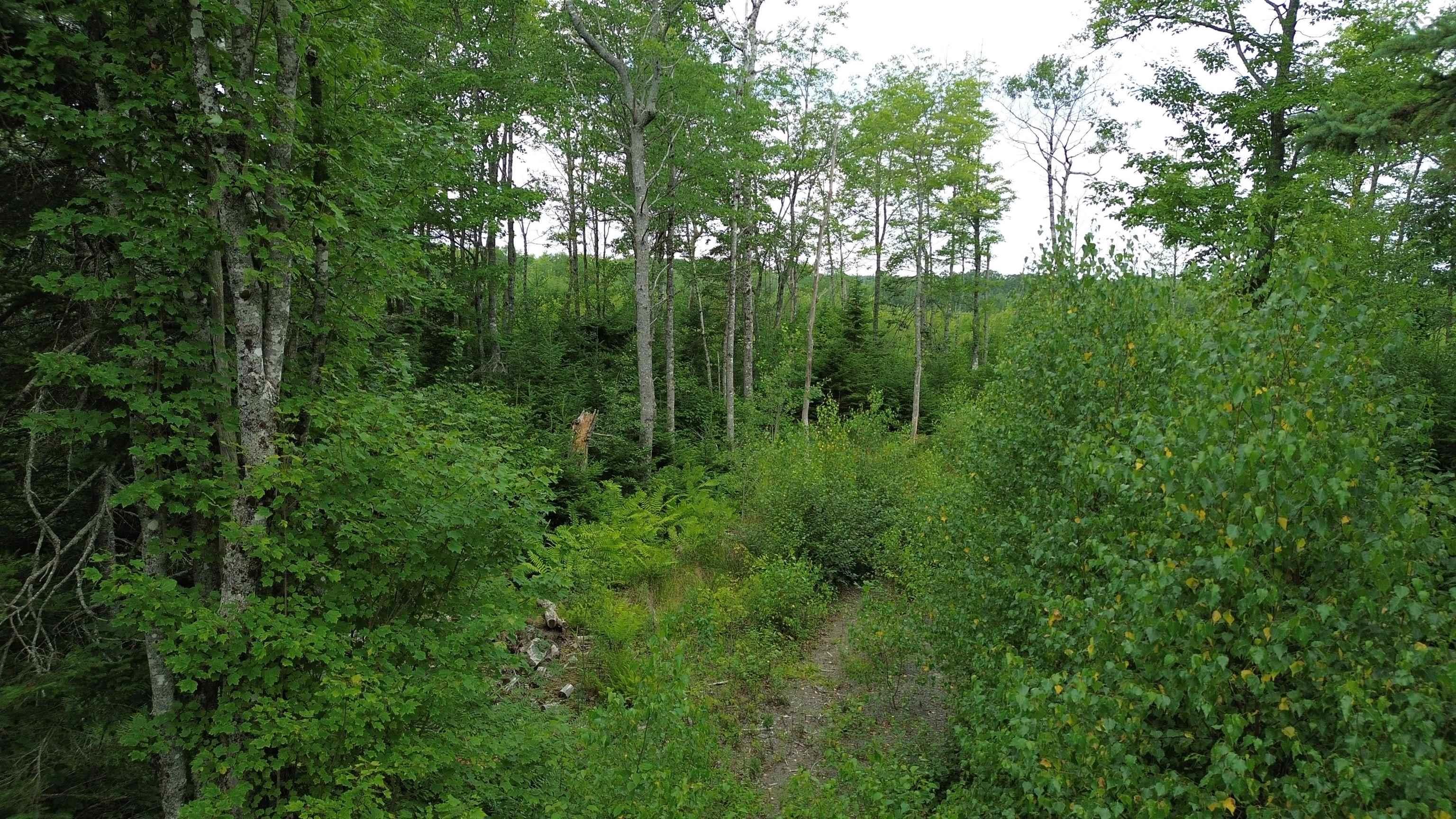 $65,000.00: Lot 7 Peck Meadow Road, Greenfield