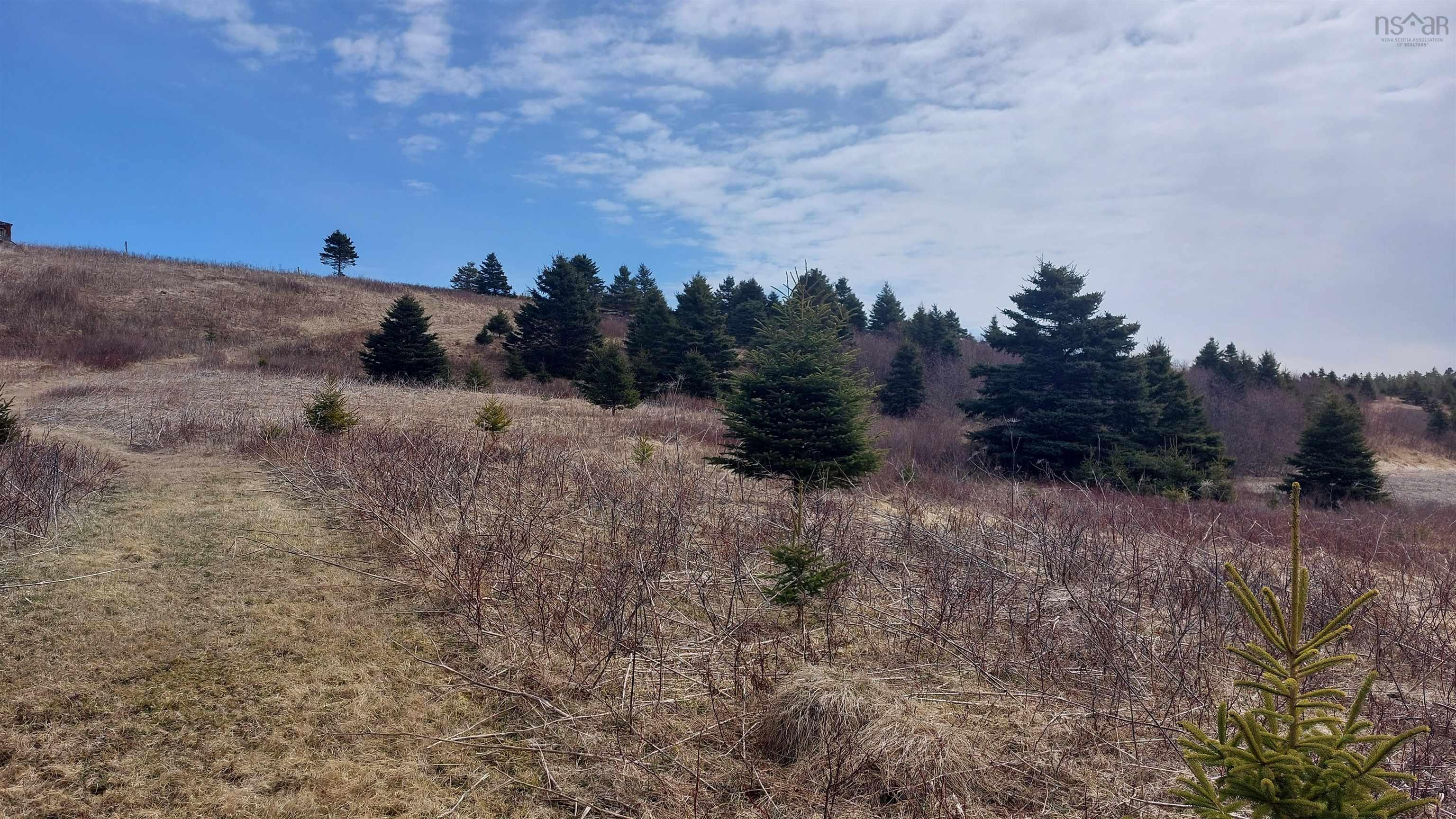 $59,000.00: Martell Rd, Lower L