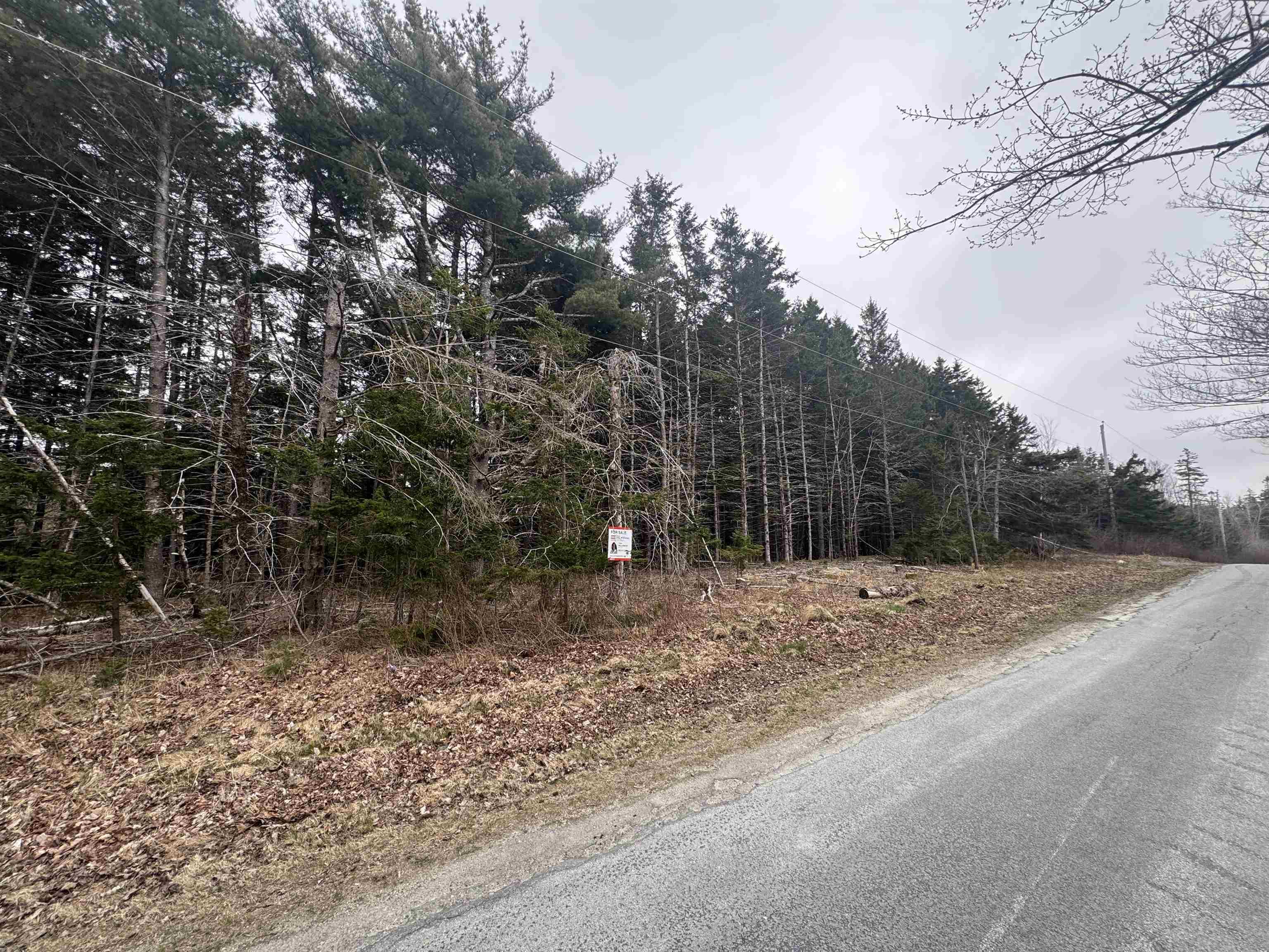 $49,900.00: Lot Back Road, Broad Cove