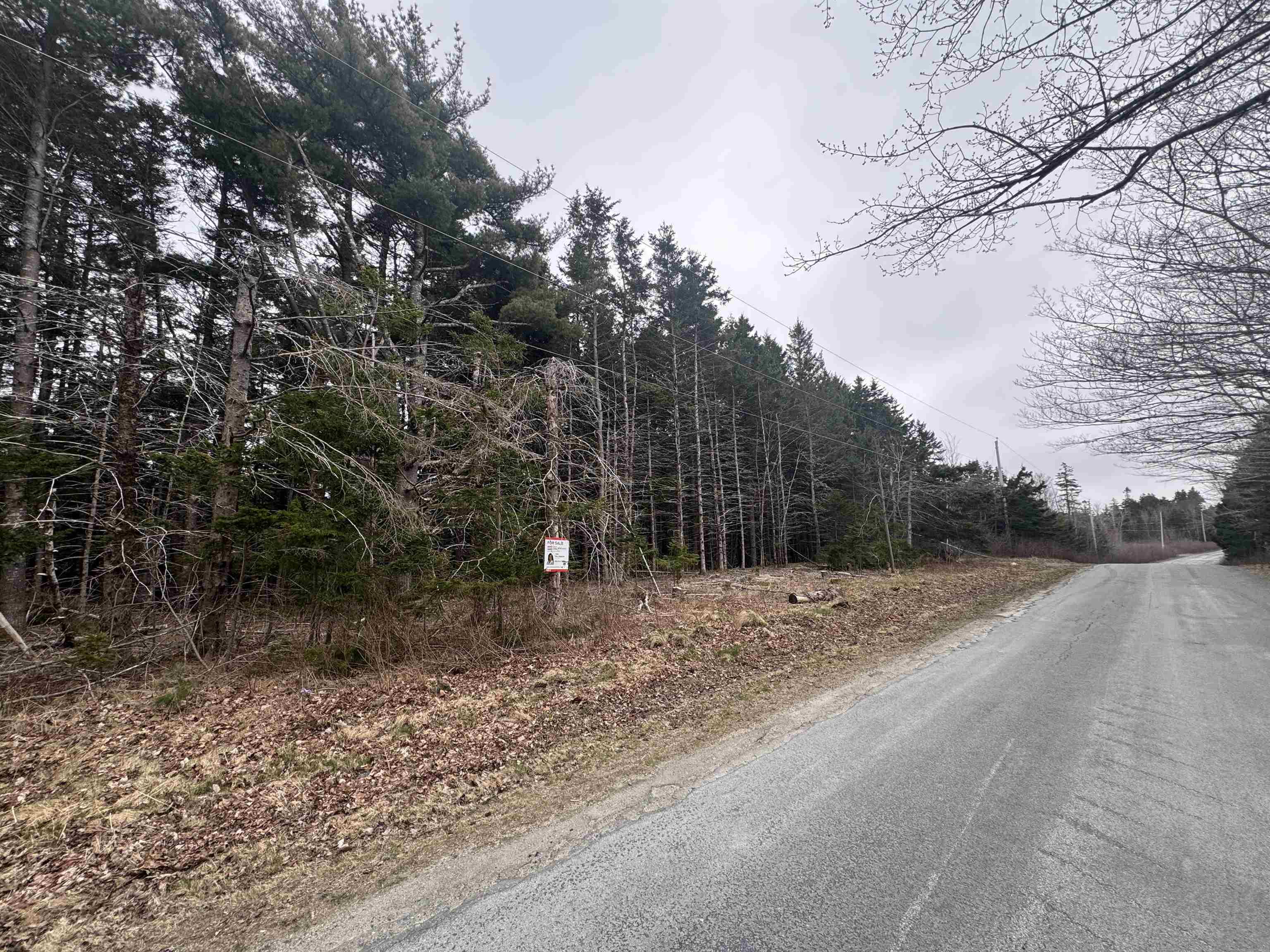 $49,900.00: Lot Back Road, Broad Cove