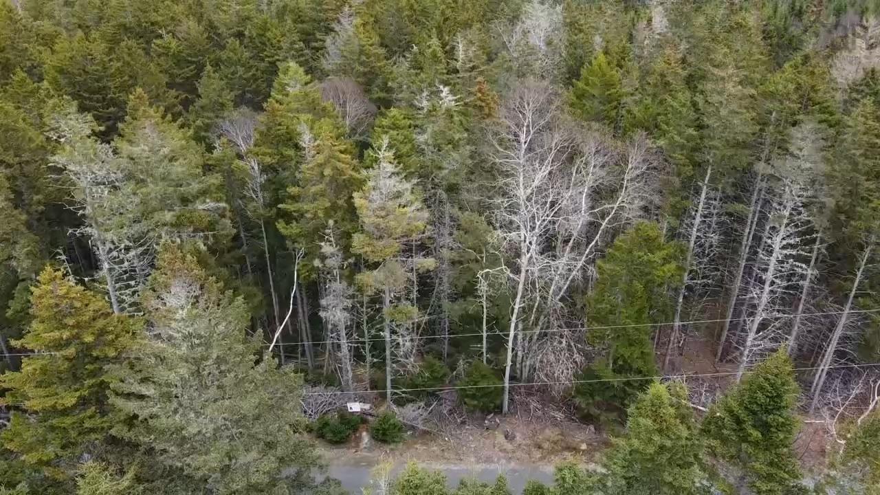 $29,900.00: Lot Flat Hill Road, Broad Cove