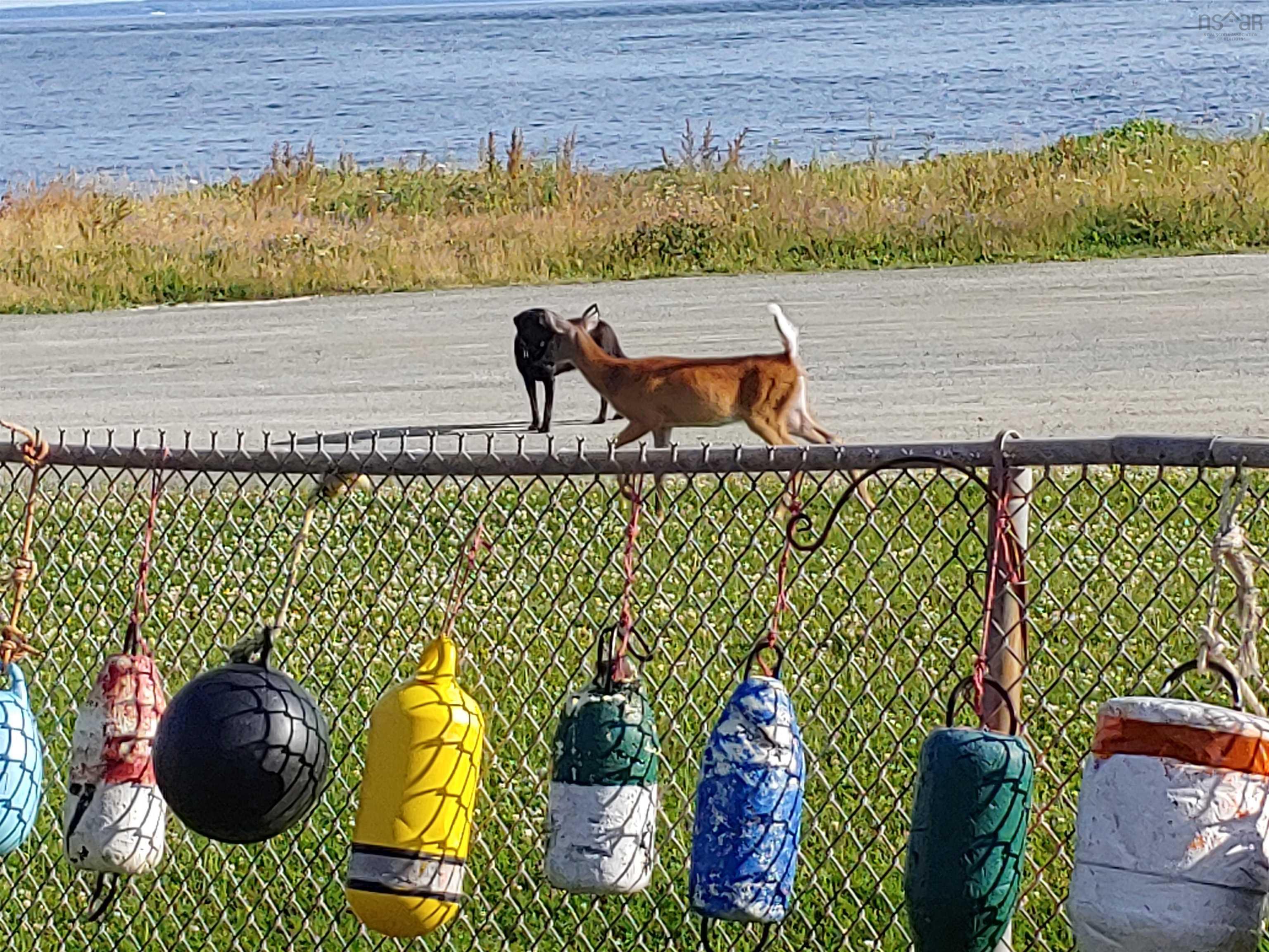 $775,000.00: 1836 Caribou Island Road, Caribou Island