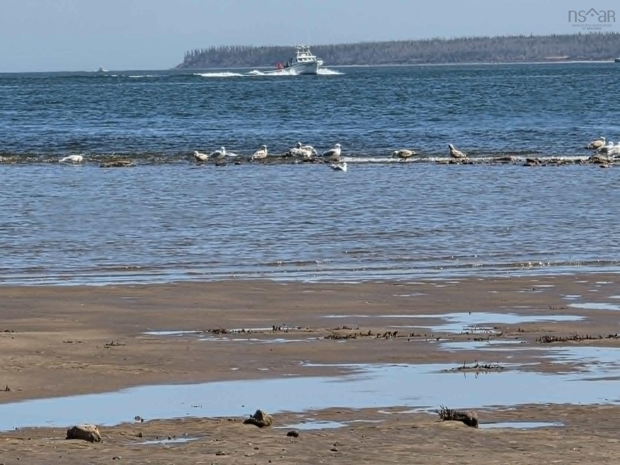 $775,000.00: 1836 Caribou Island Road, Caribou Island