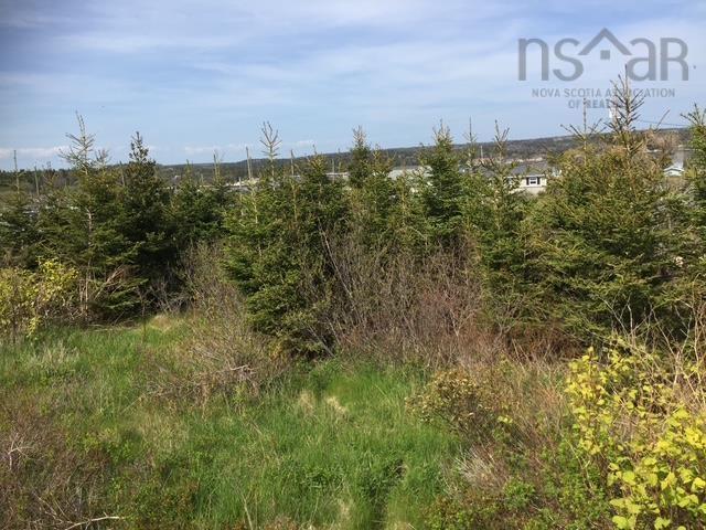 15 Hunters Hill Lane, Terence Bay, NS (MLS 202609231)