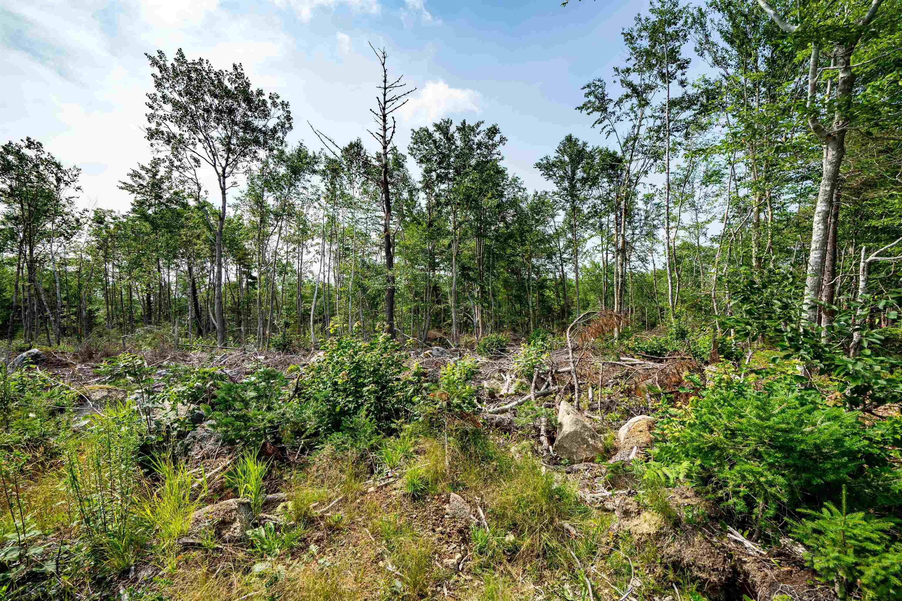 $59,000.00: Lot 5 Victory Road, Victory