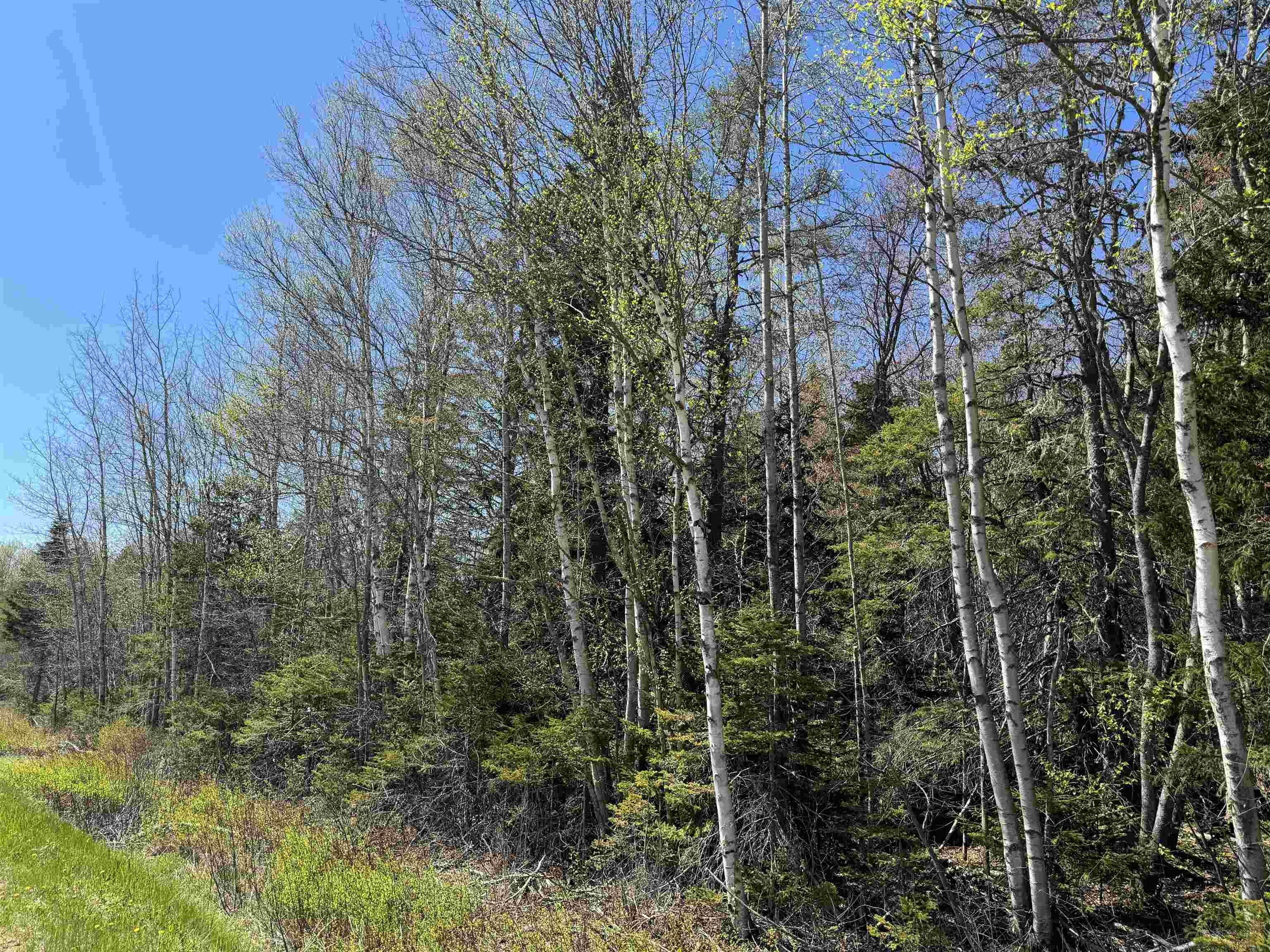 $25,000.00: Lot 4 Highway 509, Lower Maccan