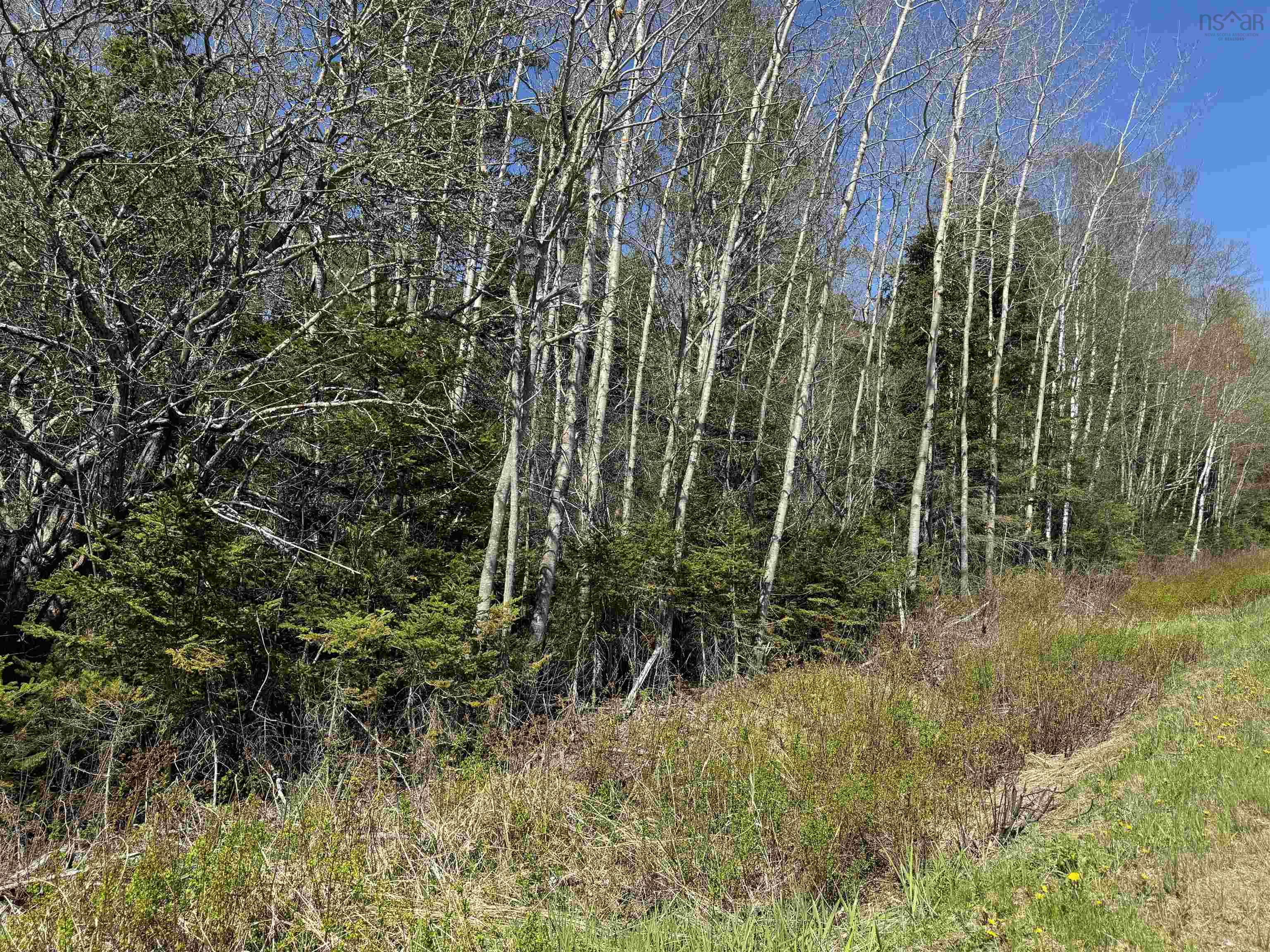 $25,000.00: Lot 4 Highway 509, Lower Maccan