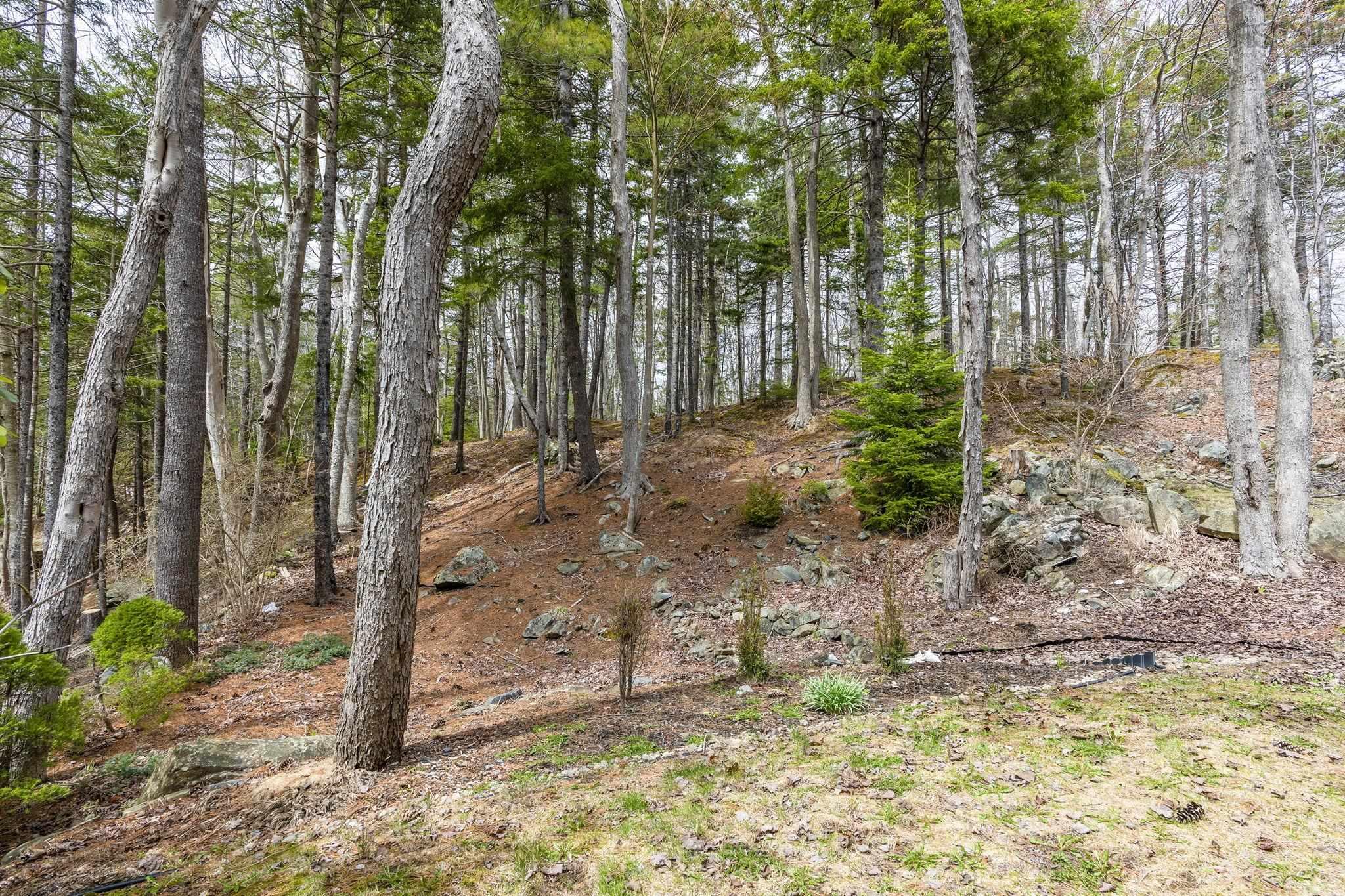 363 Oceanview Drive, Bedford, NS (MLS 202609299)