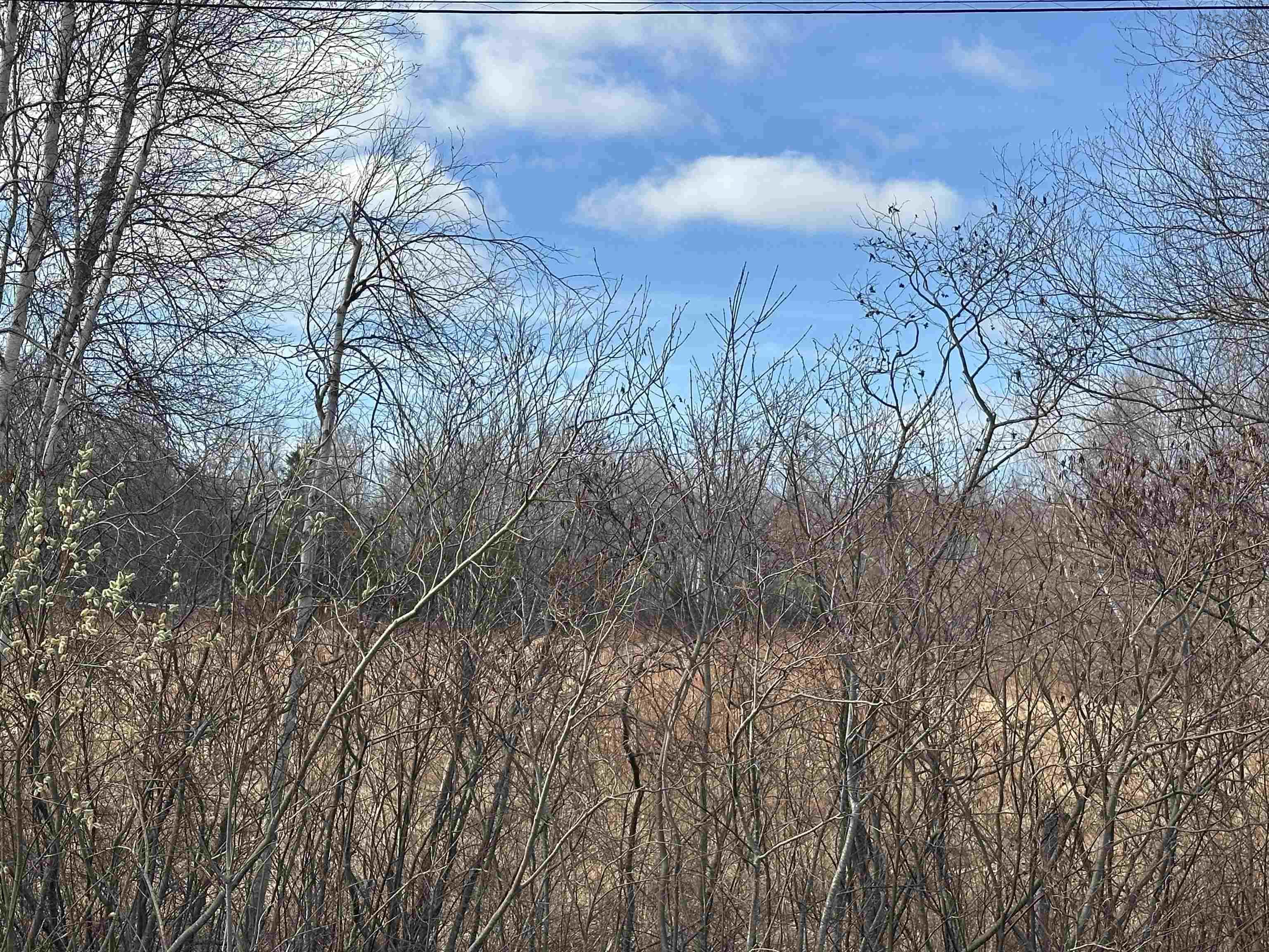 $38,900.00: 4 Acre Lot Tattrie Settlement Road, French River