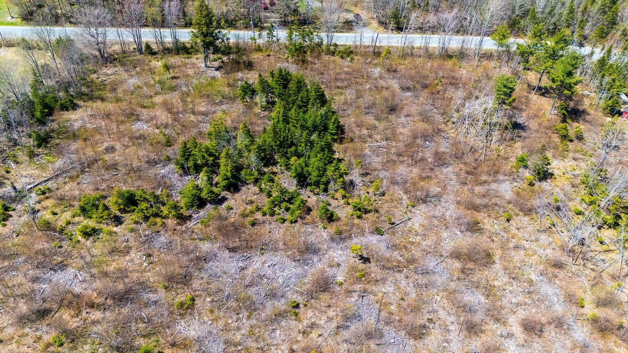 $115,000.00: Lot Newtonville Road, Forest Hill