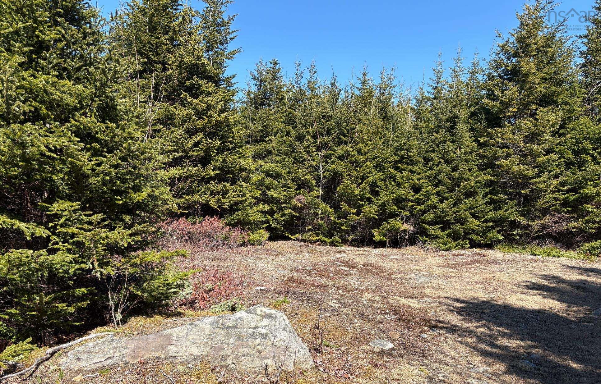 $110,000.00: Lots Ostrea Lake Road, Ostrea Lake