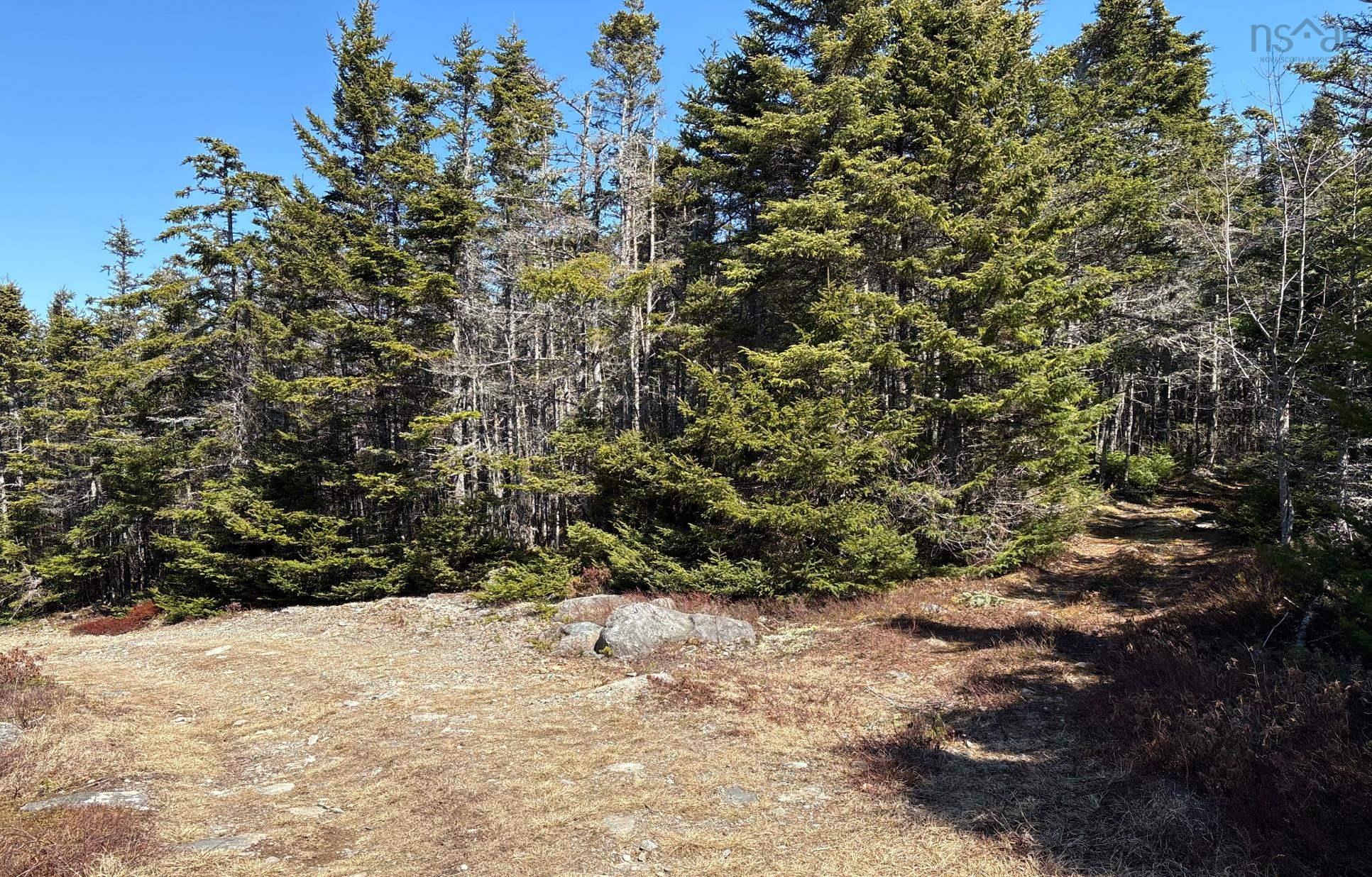 $110,000.00: Lots Ostrea Lake Road, Ostrea Lake