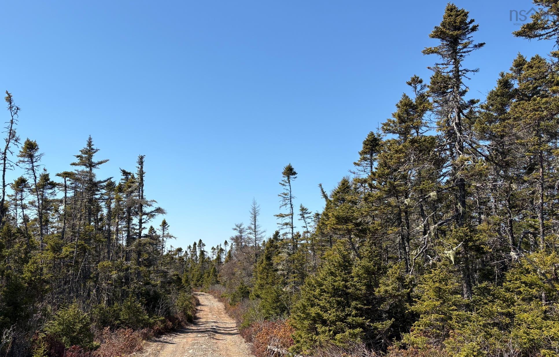 $110,000.00: Lots Ostrea Lake Road, Ostrea Lake