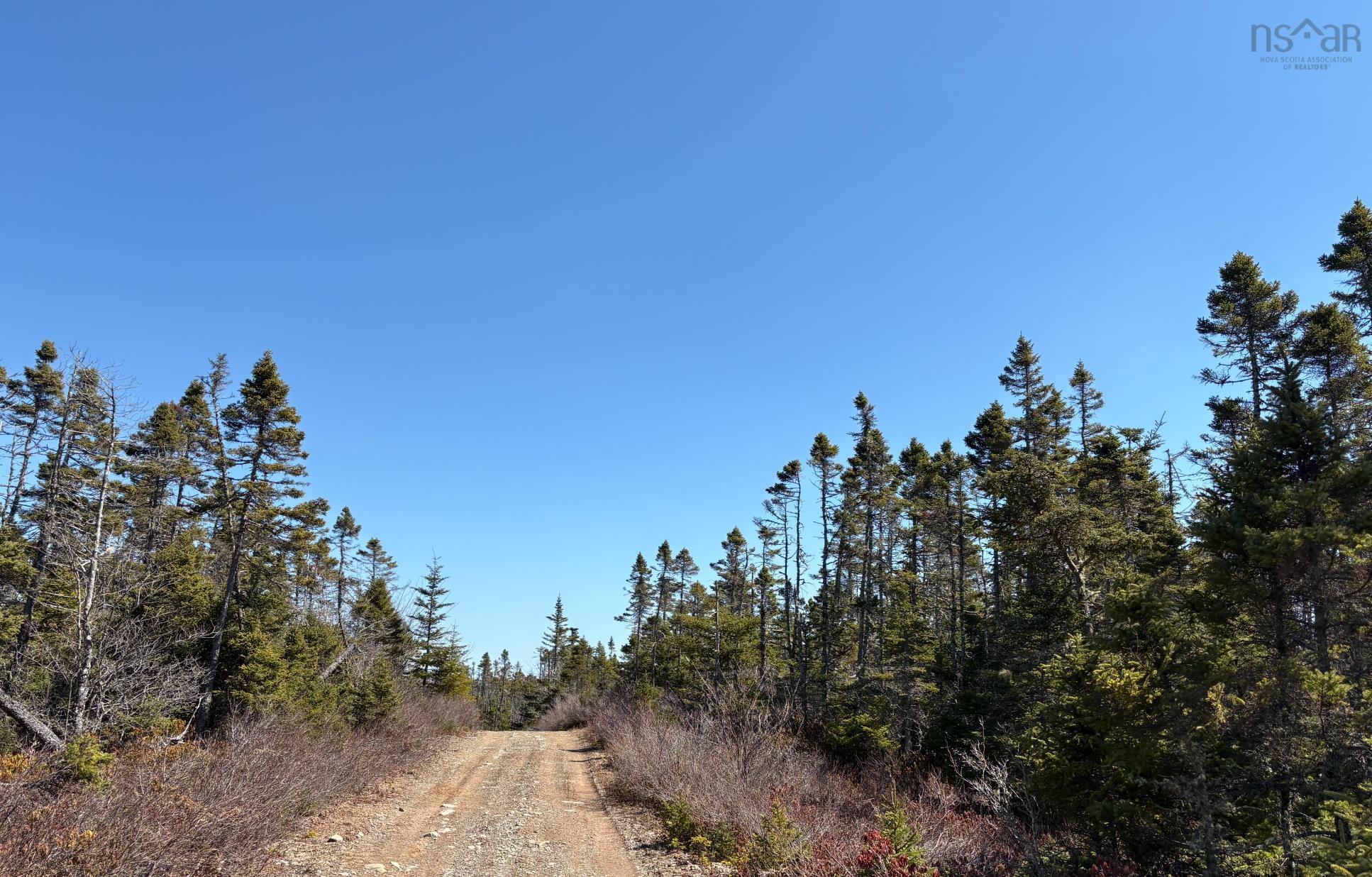 $110,000.00: Lots Ostrea Lake Road, Ostrea Lake