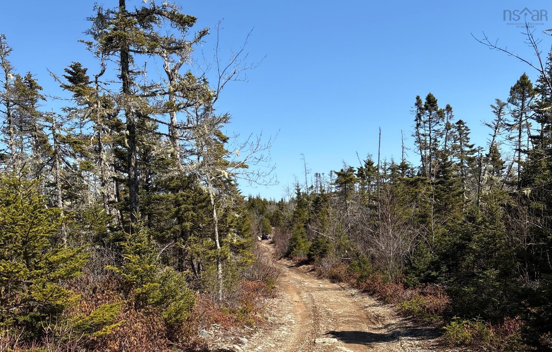 $110,000.00: Lots Ostrea Lake Road, Ostrea Lake