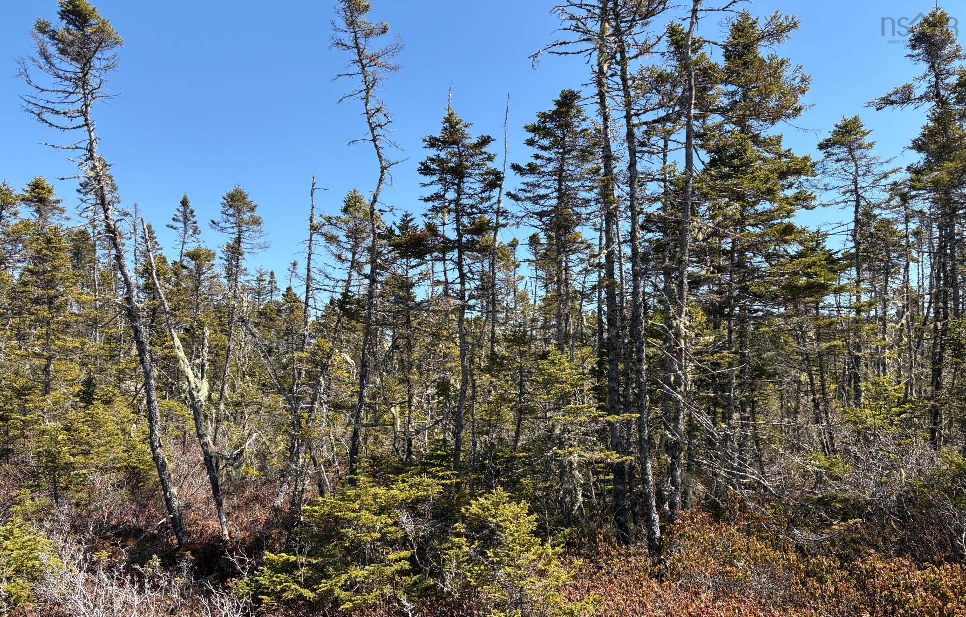 $110,000.00: Lots Ostrea Lake Road, Ostrea Lake