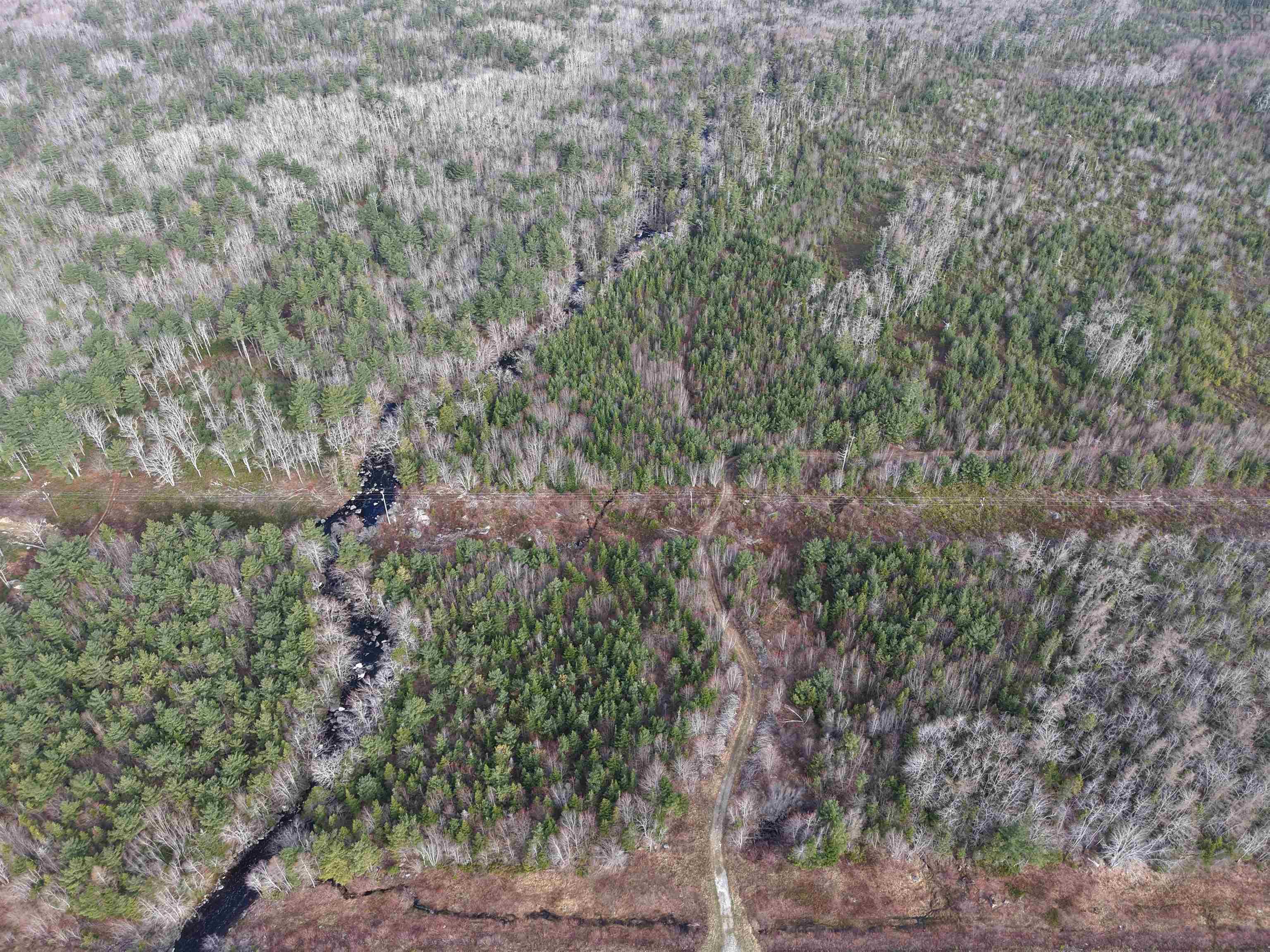 $24,999.00: lot highway 103, Birchtown