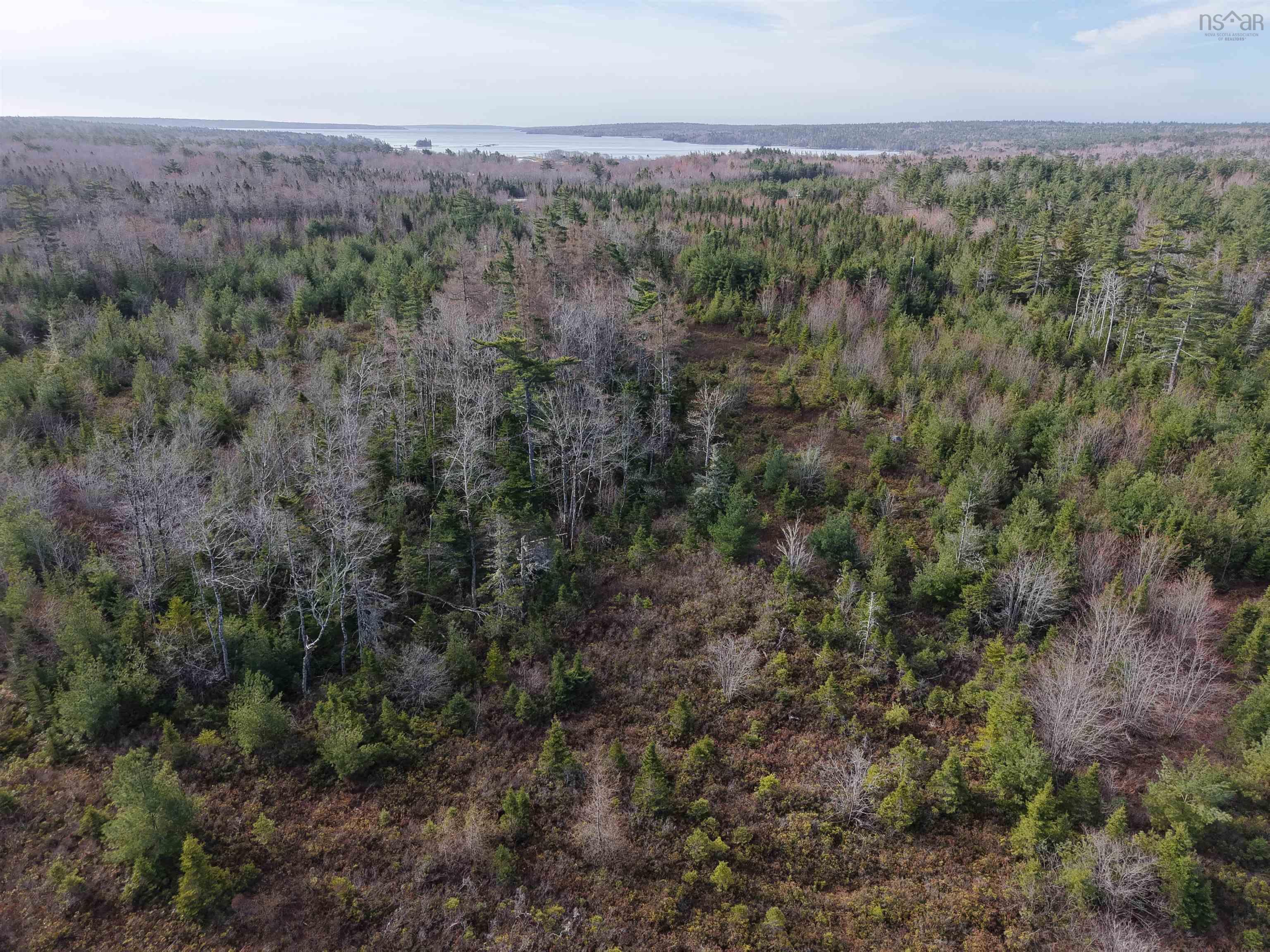 $24,999.00: lot highway 103, Birchtown