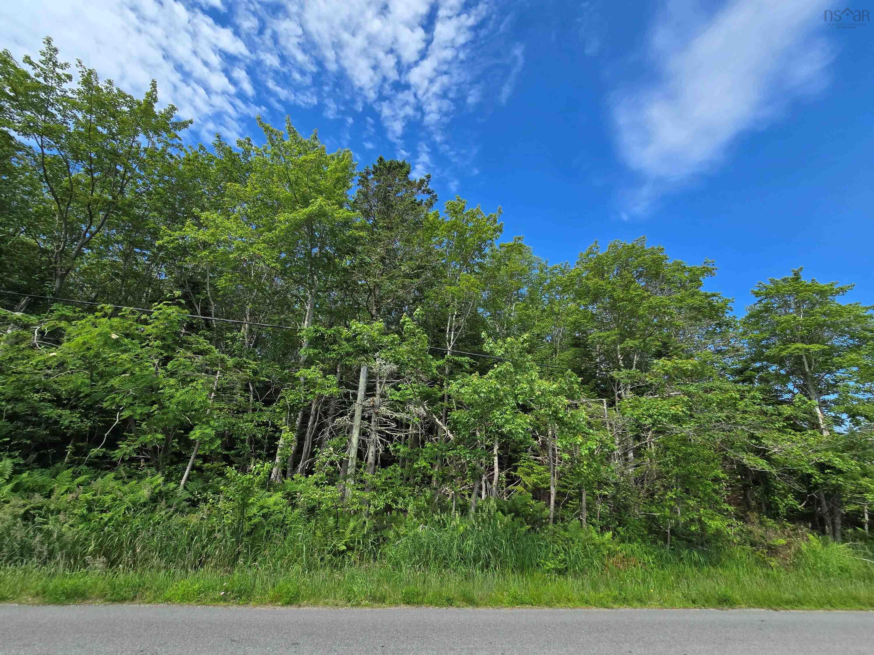 $58,000.00: Lot Main Shore Road, North Chegoggin