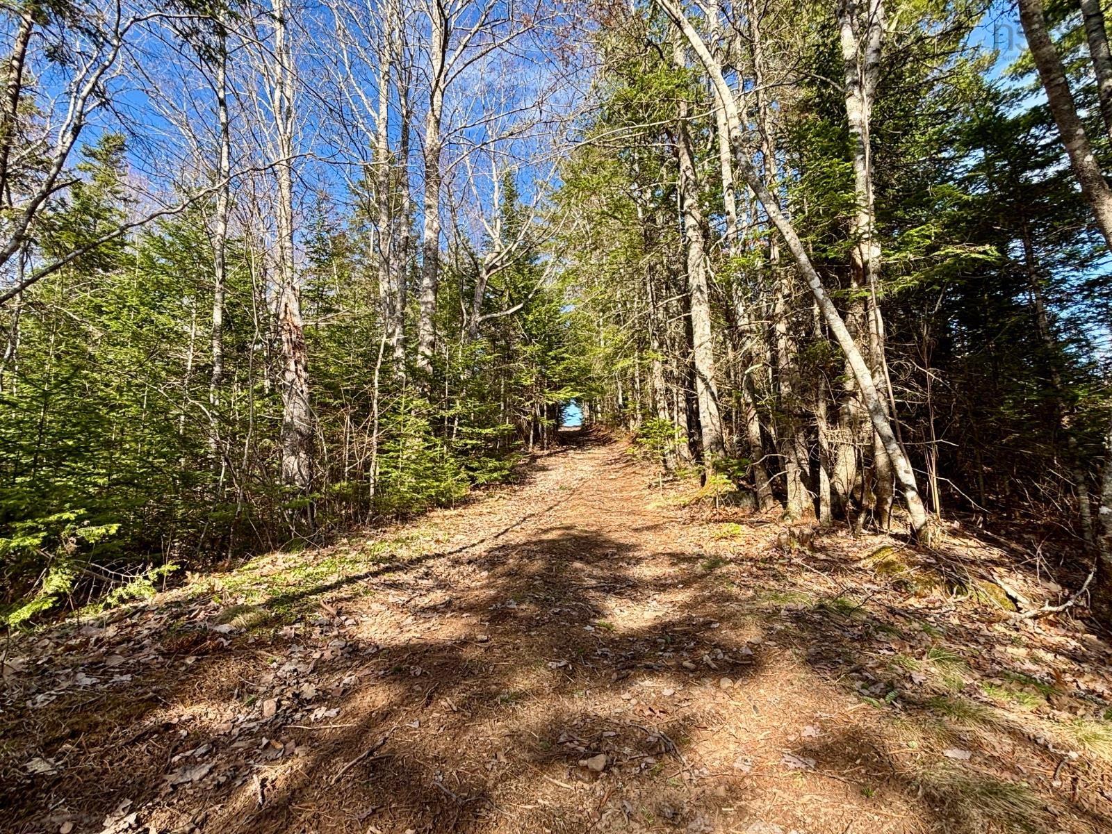 $1,095,000.00: 54 Craig Drive, Dutch Settlement