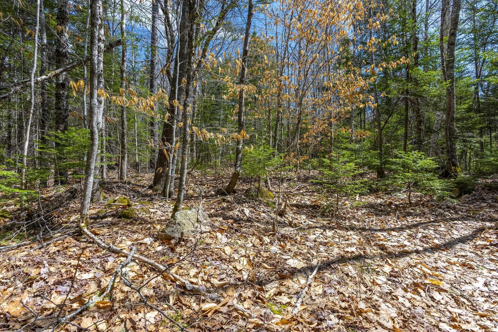 $269,900.00: 214 Lower Sixty Lake Road Road, Crossburn